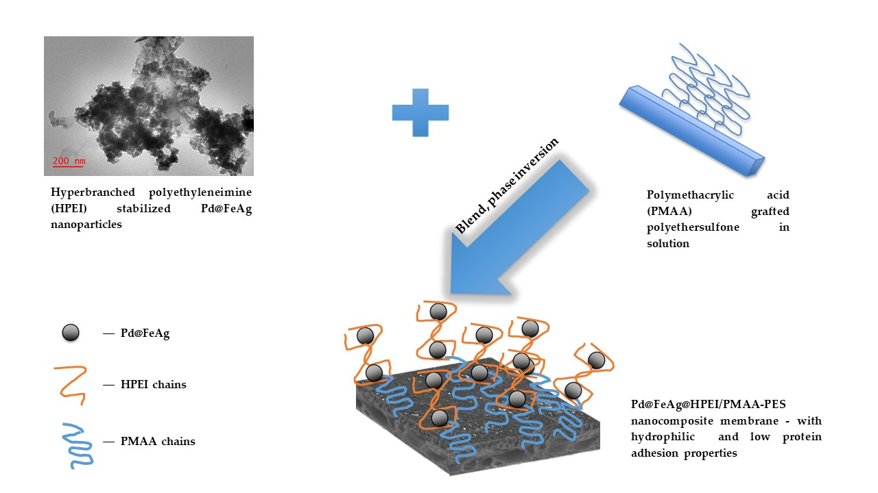 Membranes Free FullText The Synthesis and Characterization of