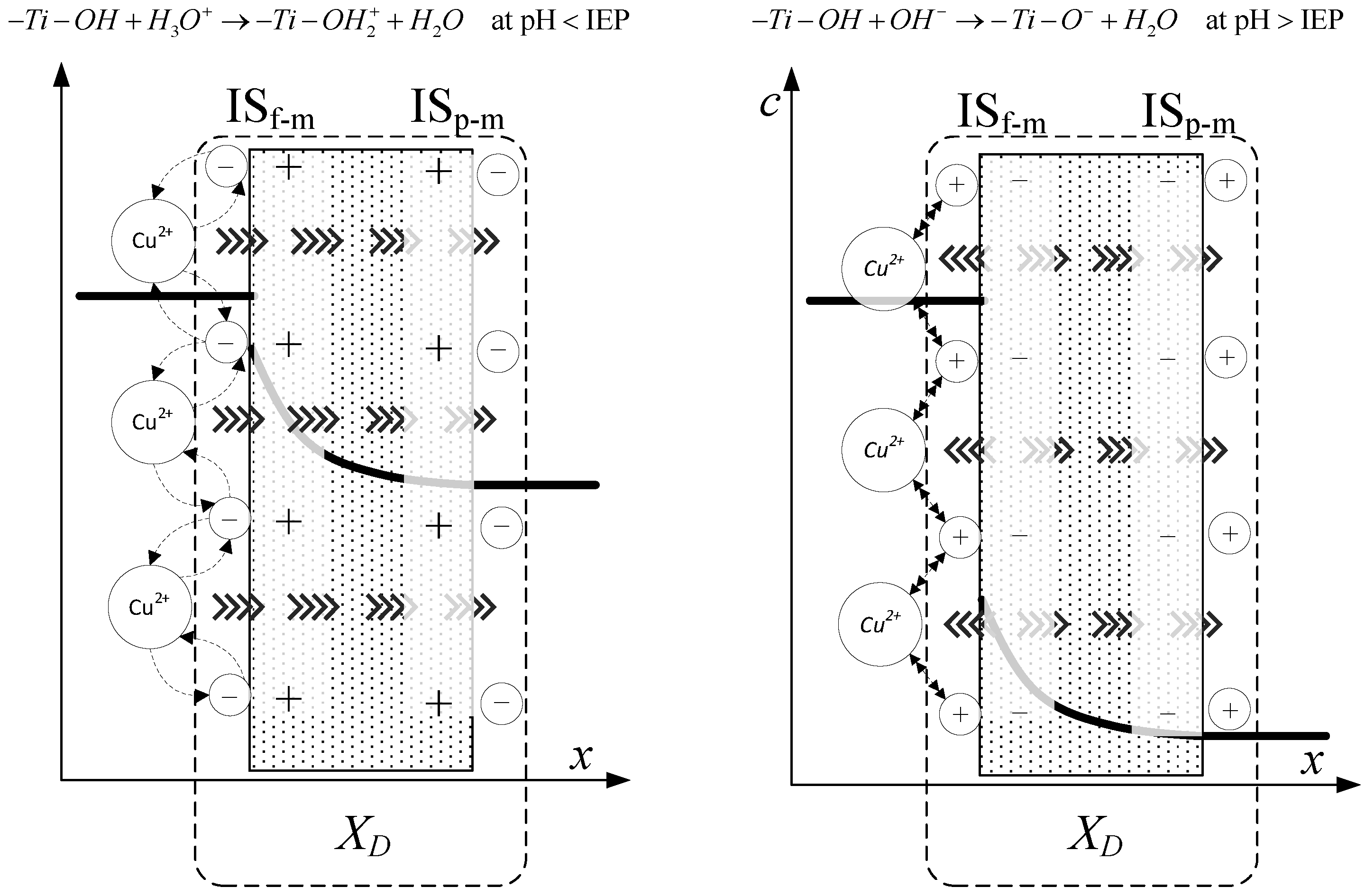 Membranes 10 00235 g008