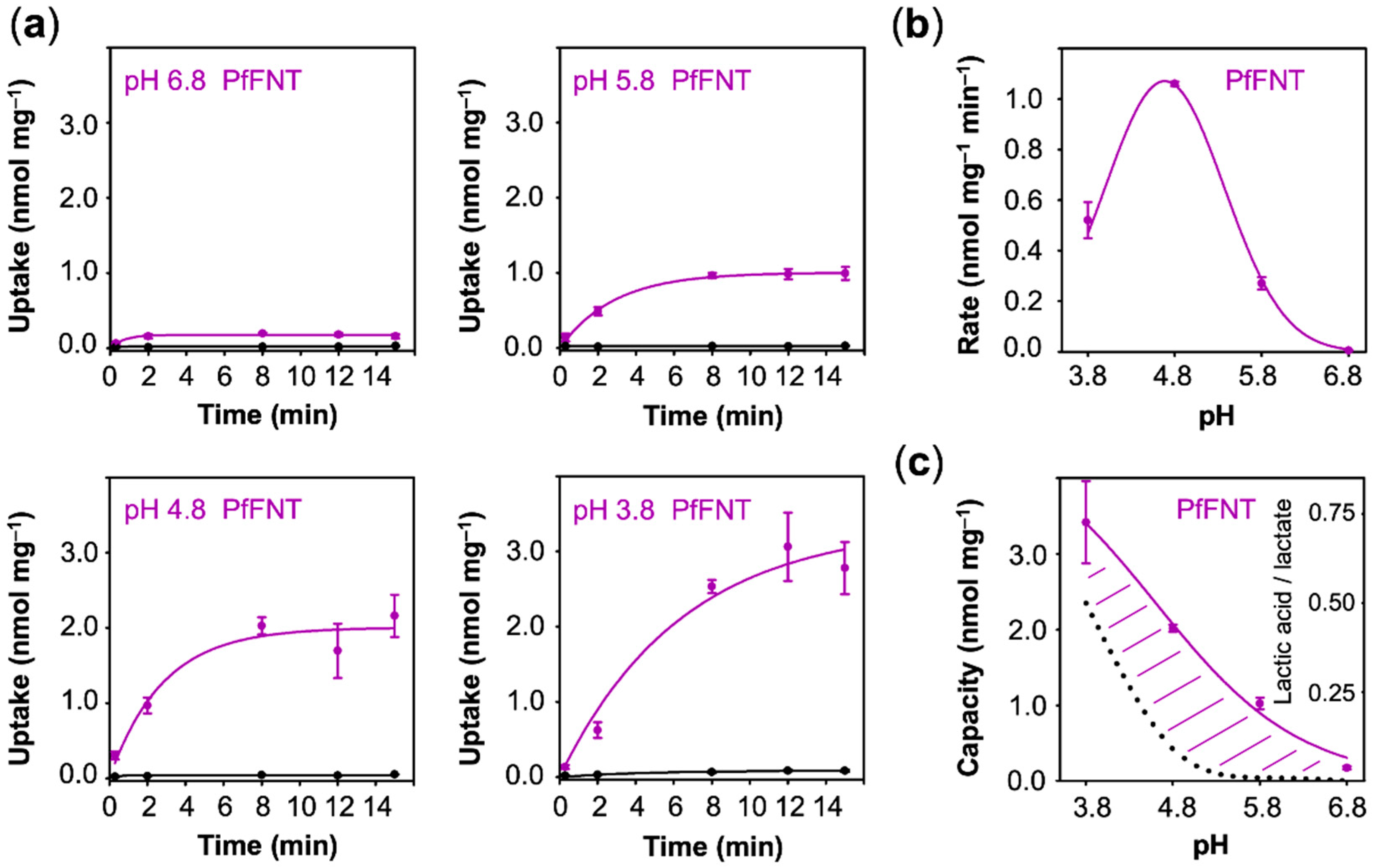Membranes 10 00236 g005