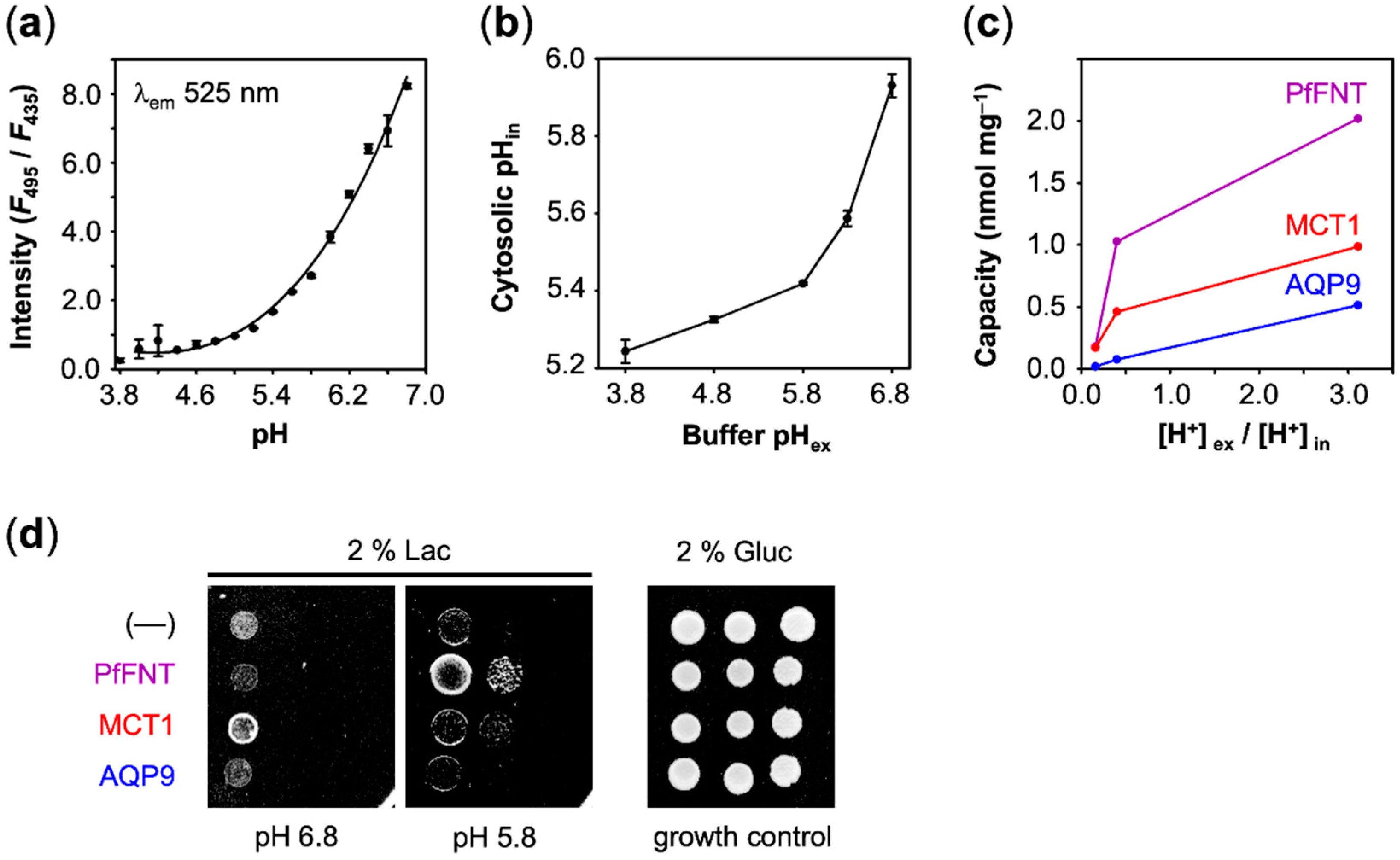 Membranes 10 00236 g006