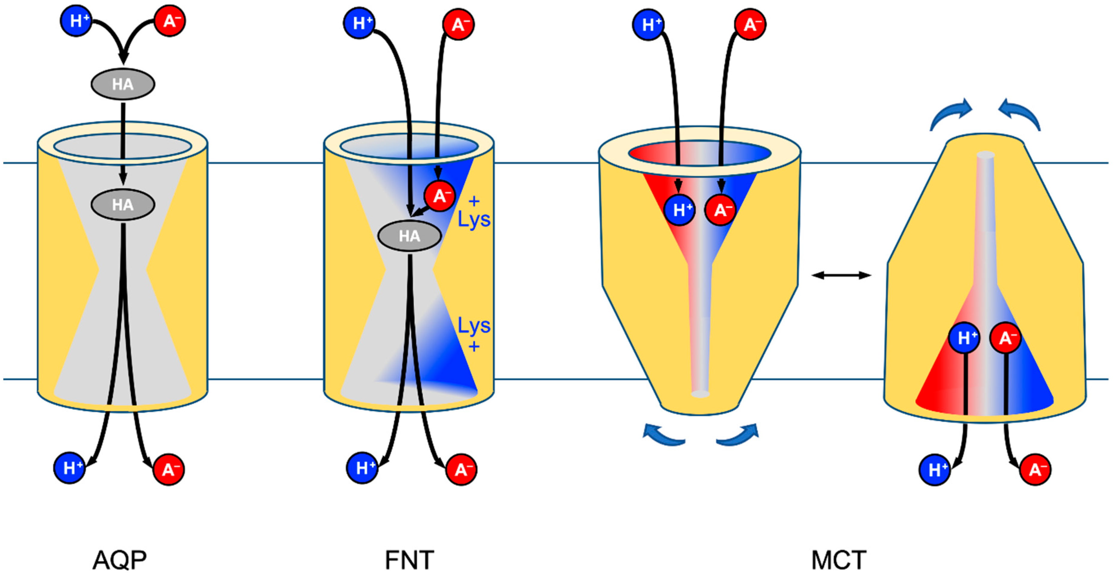 Membranes 10 00236 g007