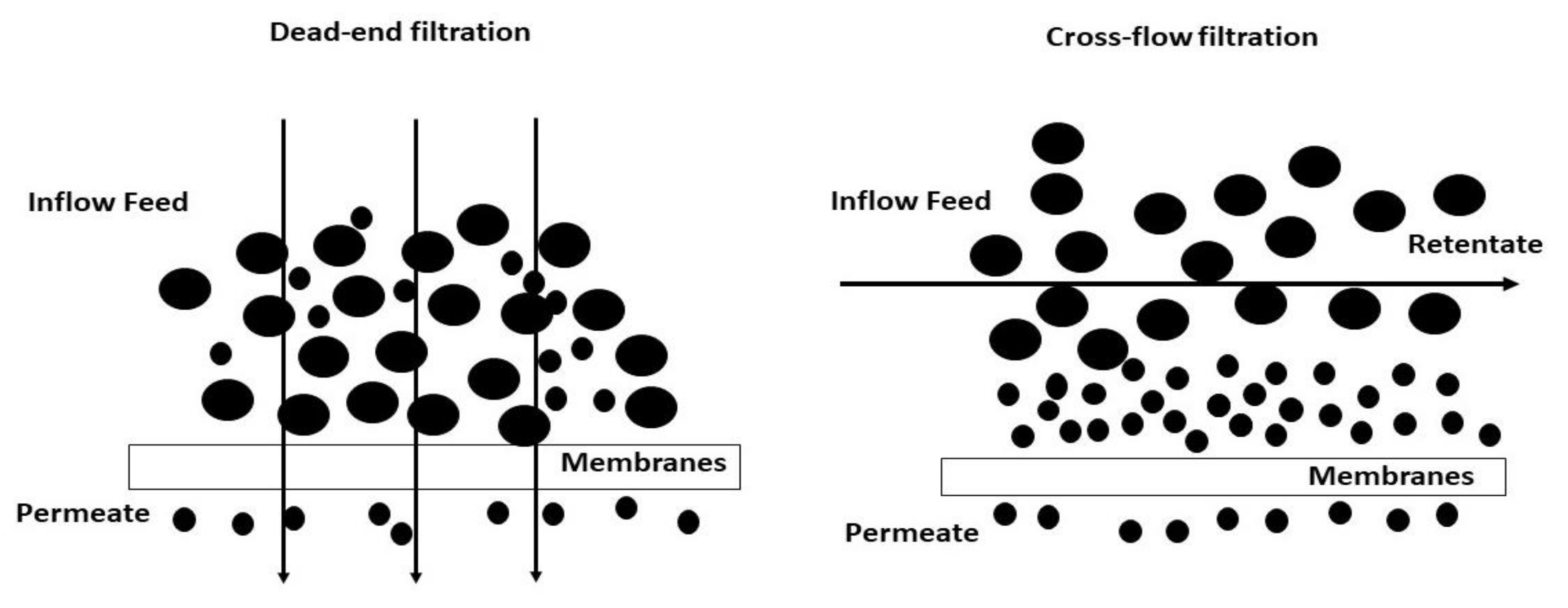 Membranes 10 00248 g002