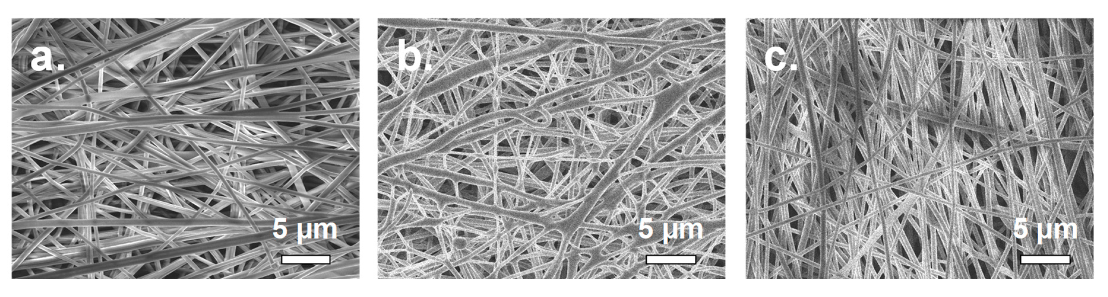 Membranes 10 00250 g004