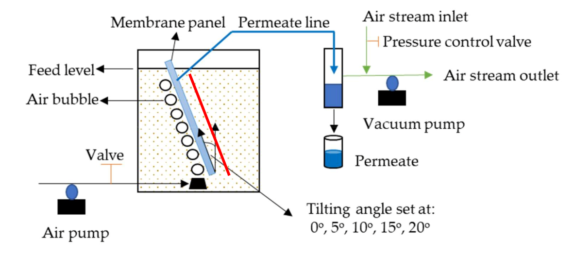 Membranes 10 00260 g001