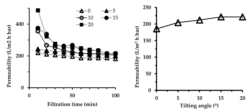 Membranes 10 00260 g002