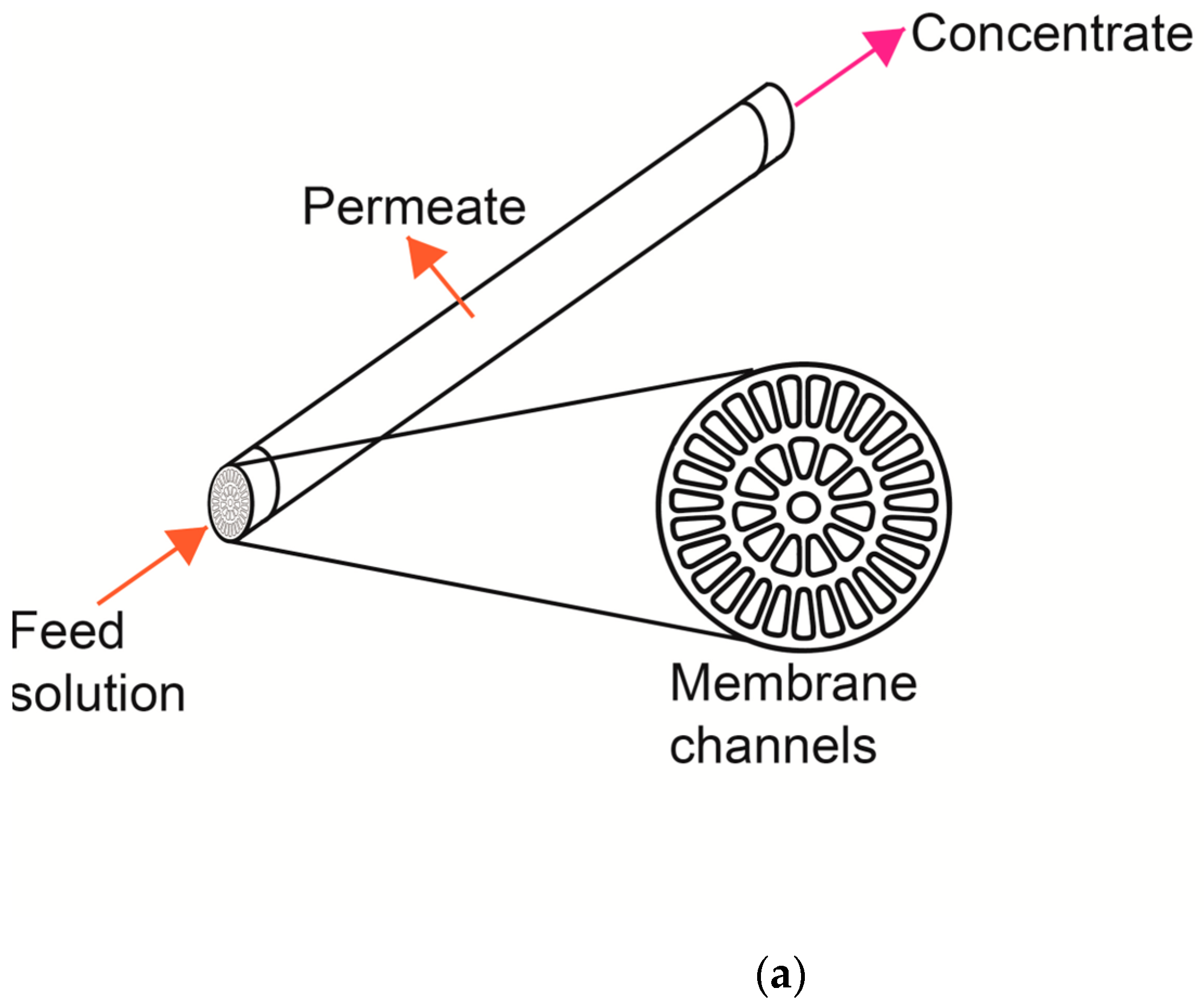 Membranes 10 00261 g002a