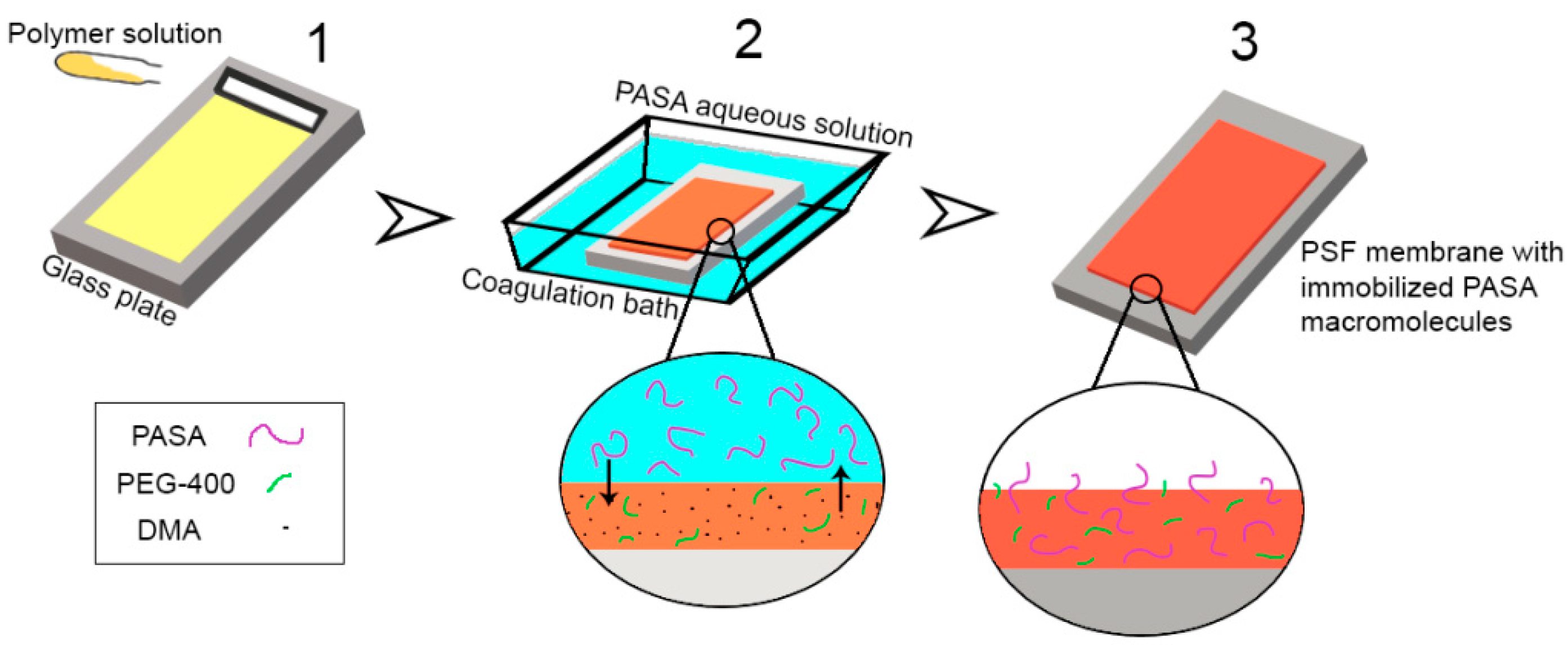 Membranes 10 00264 g002
