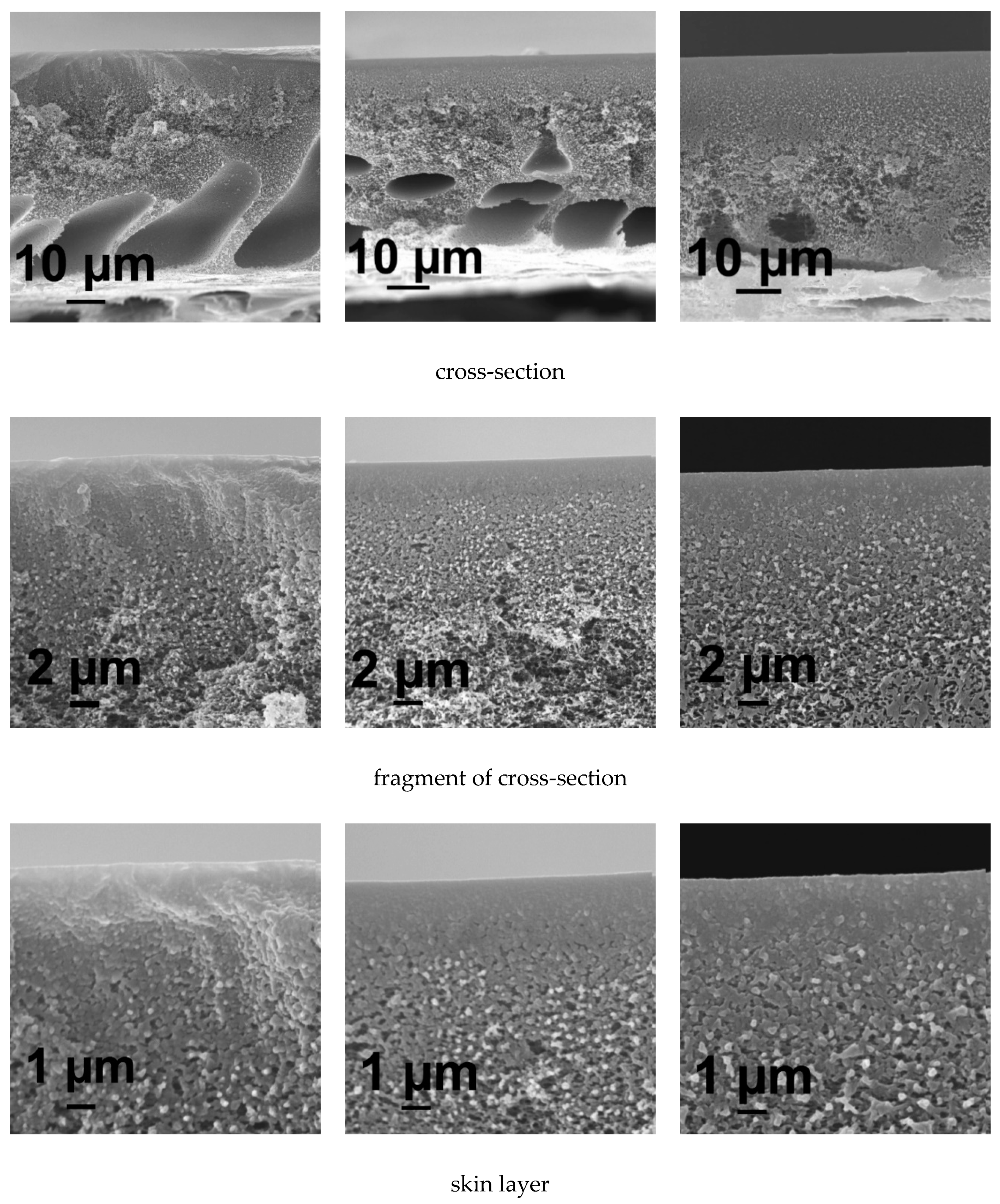 Membranes 10 00264 g005a