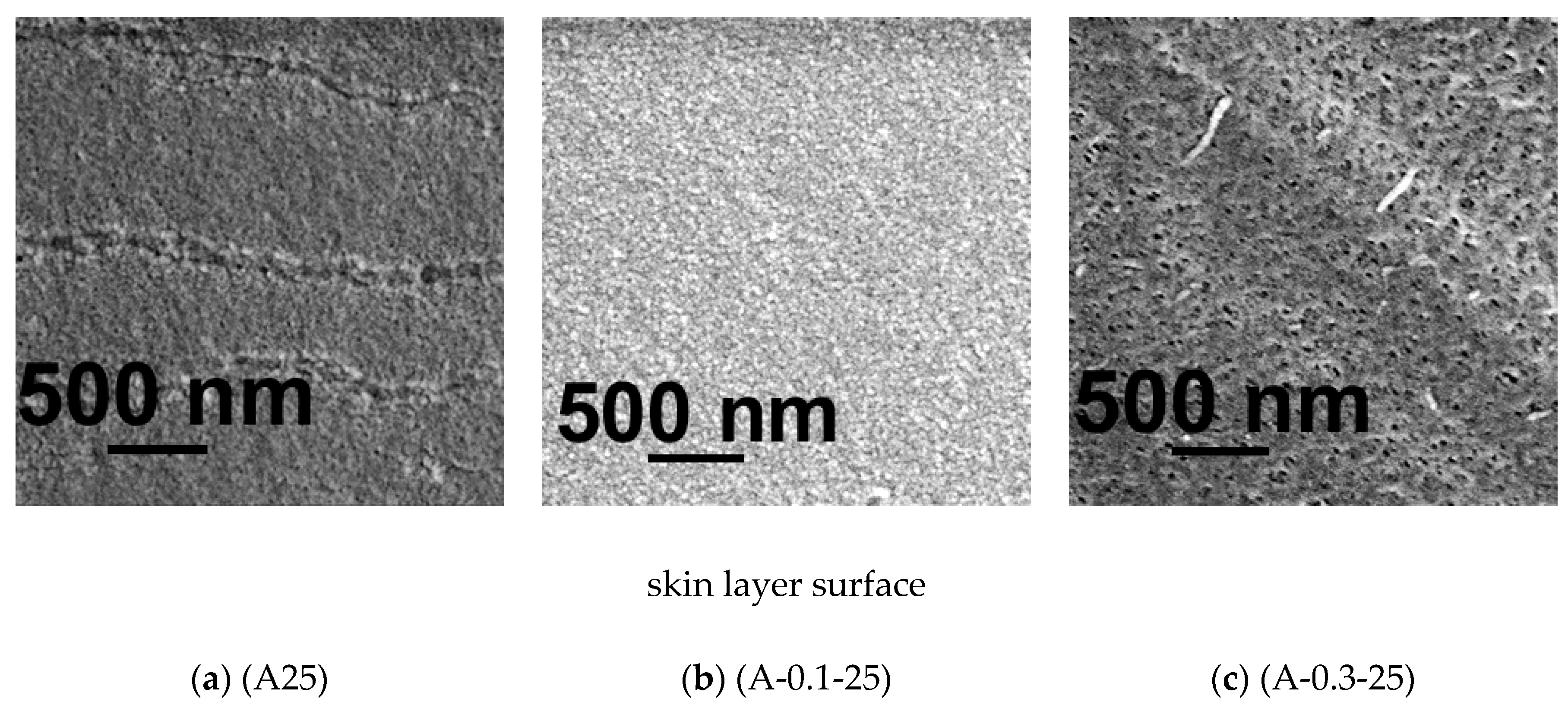 Membranes 10 00264 g005b