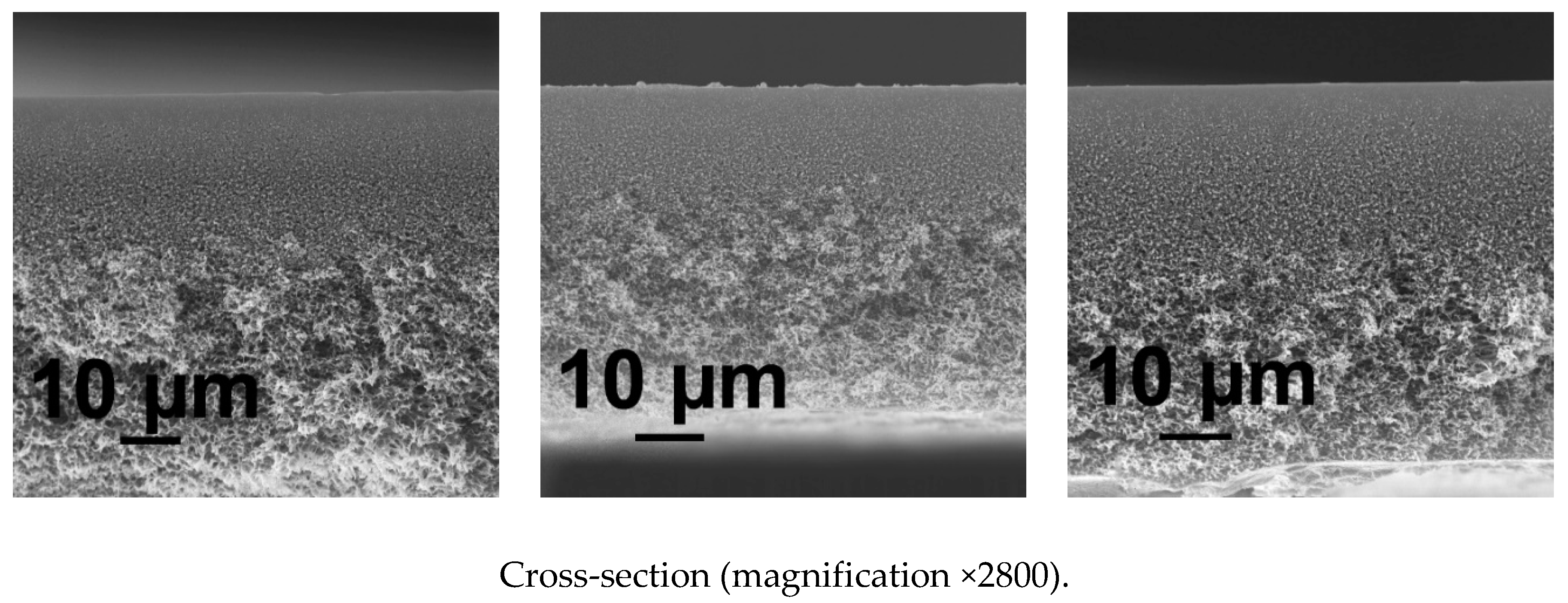 Membranes 10 00264 g006a