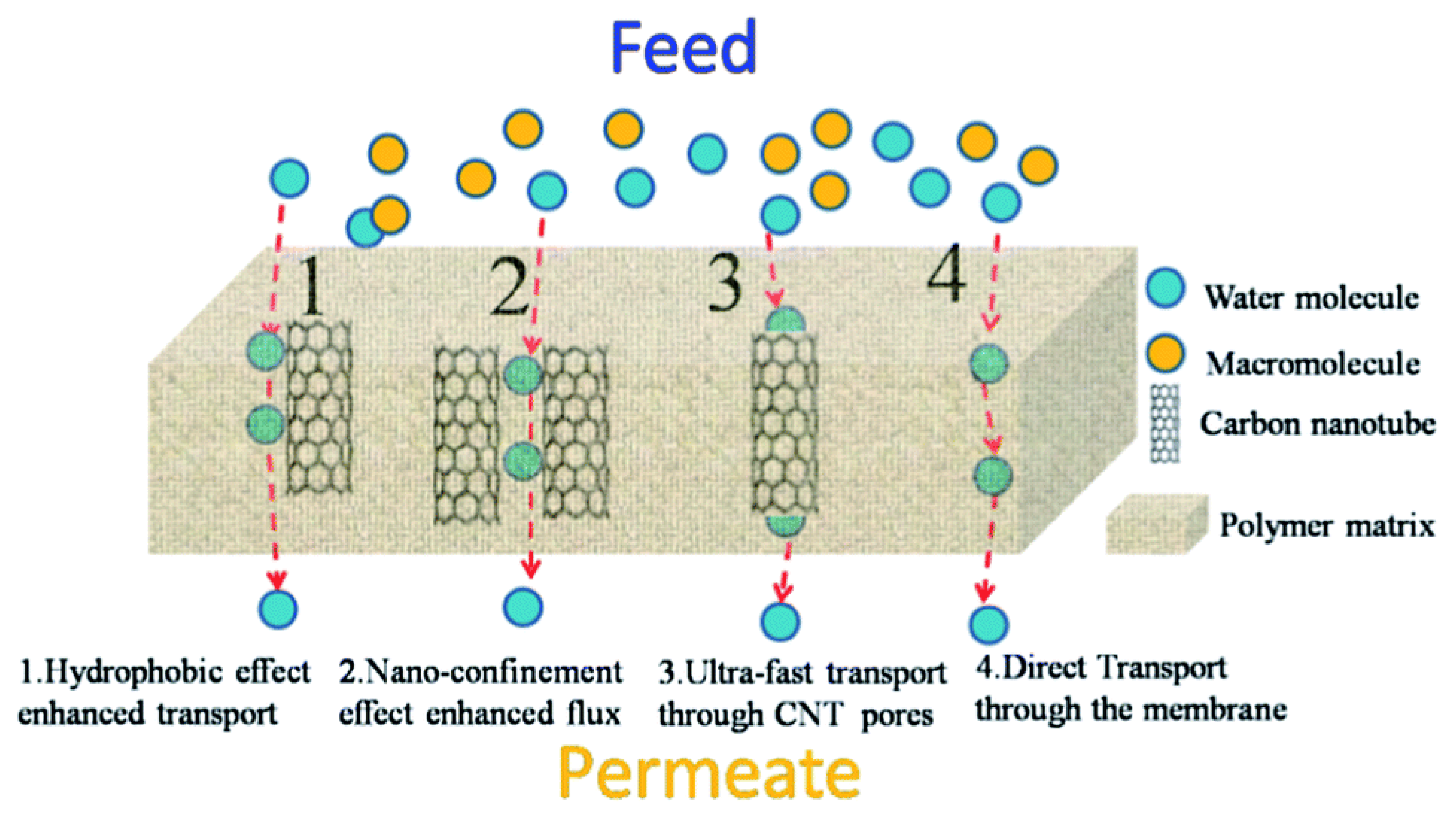 Membranes 10 00273 g003