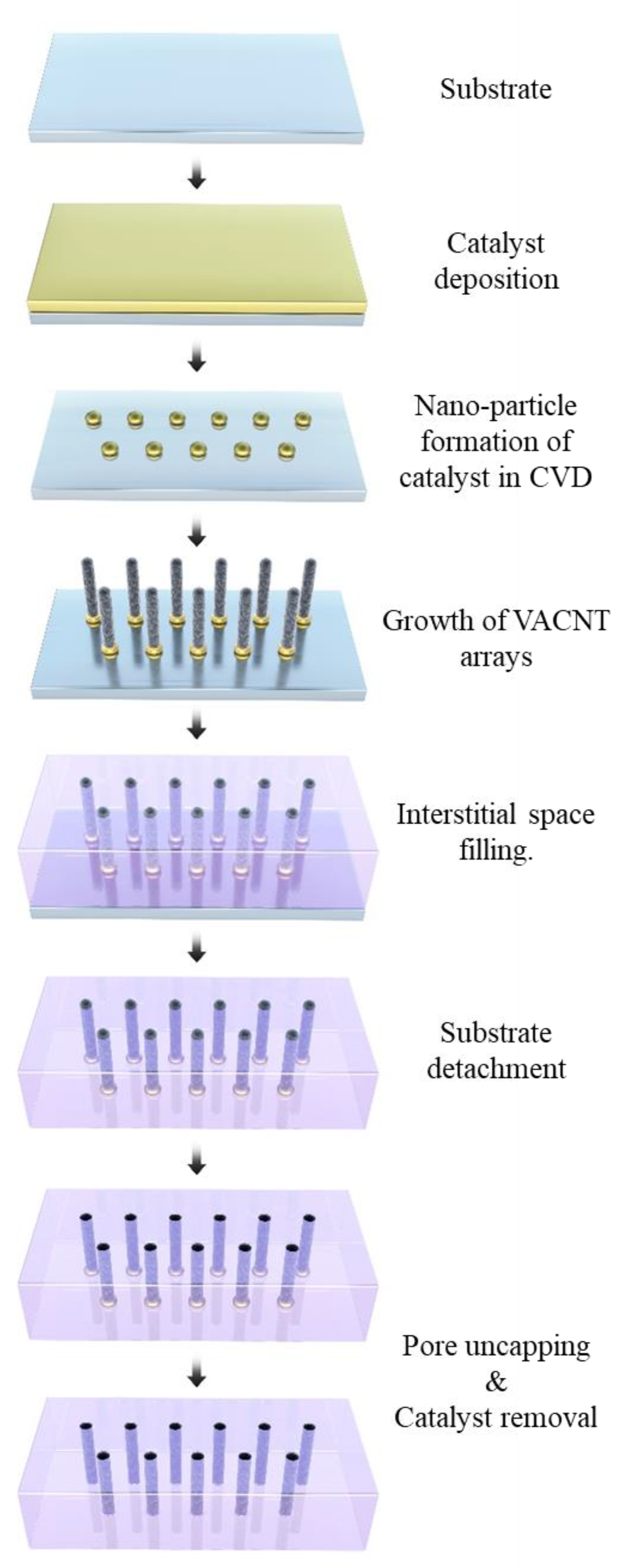 Membranes 10 00273 g004