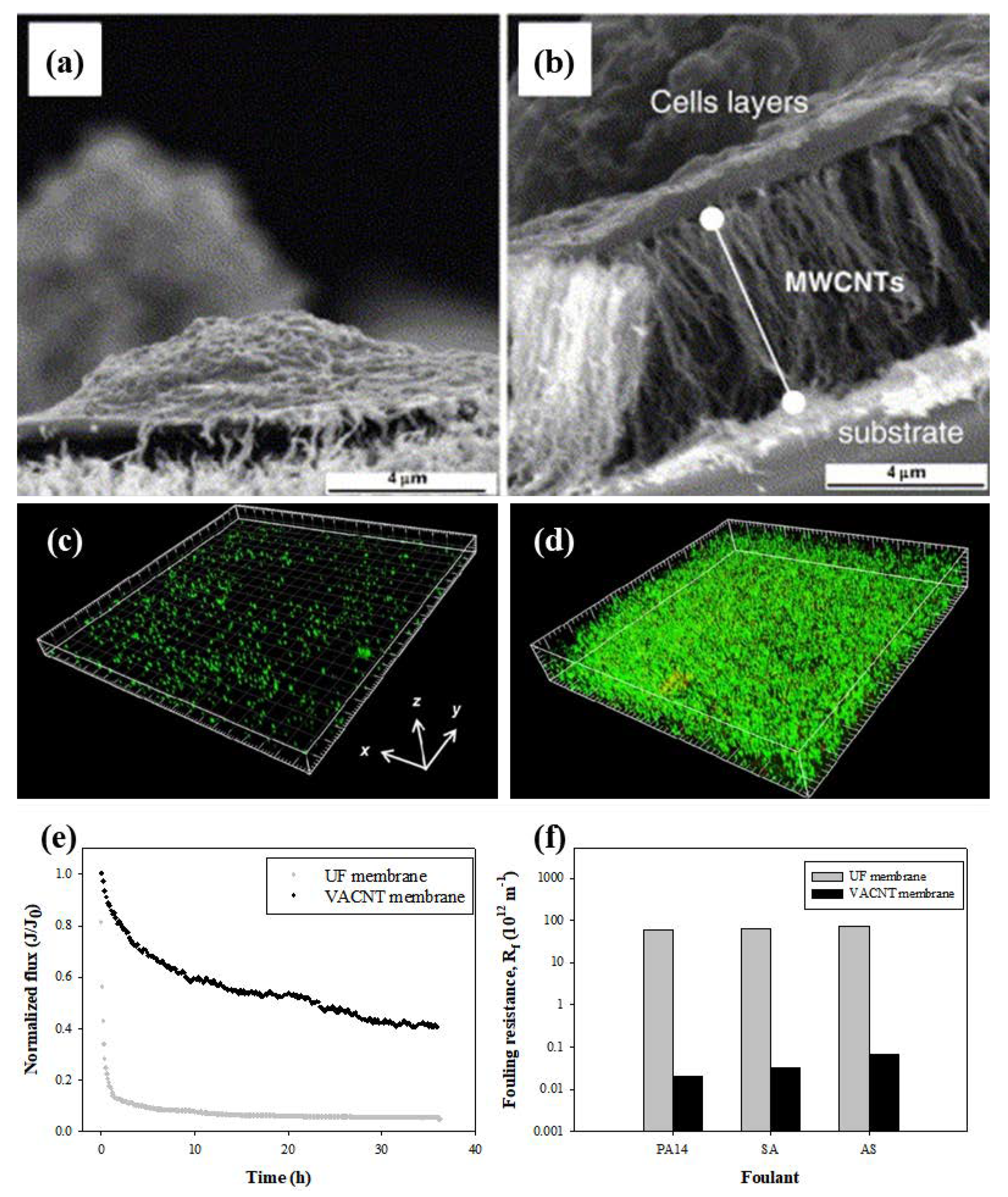 Membranes 10 00273 g007