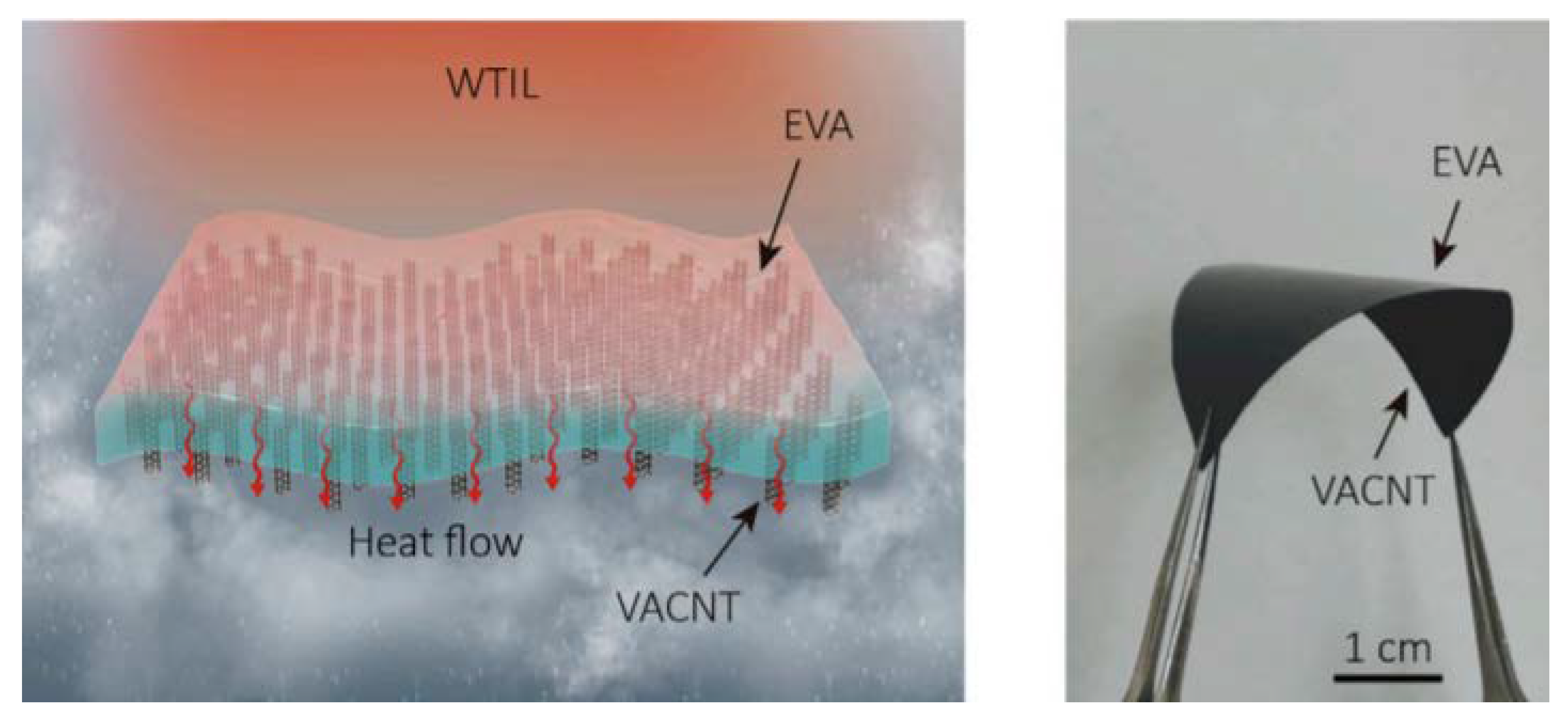 Membranes 10 00273 g010
