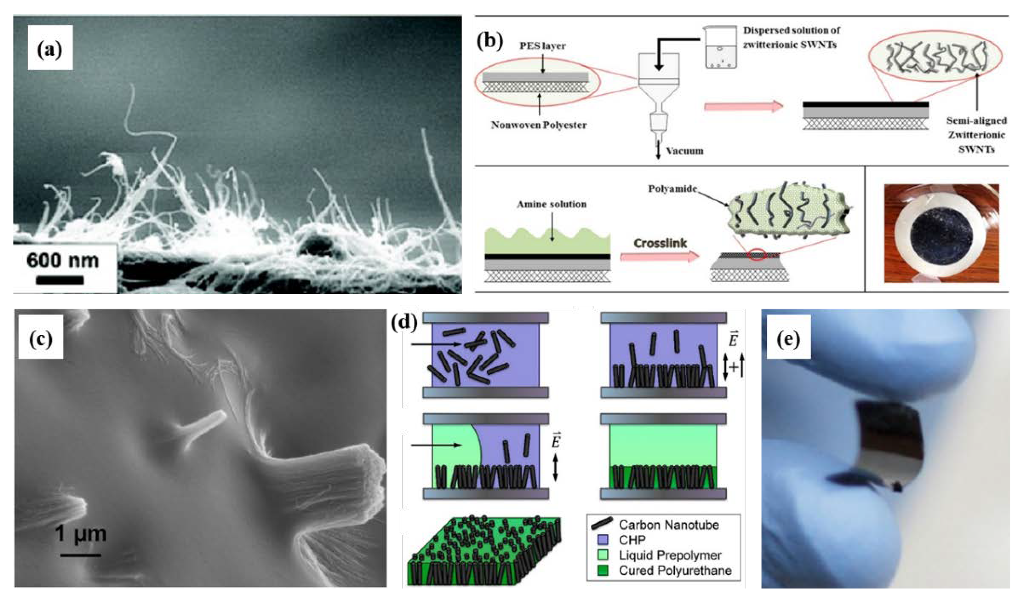 Membranes 10 00273 g011