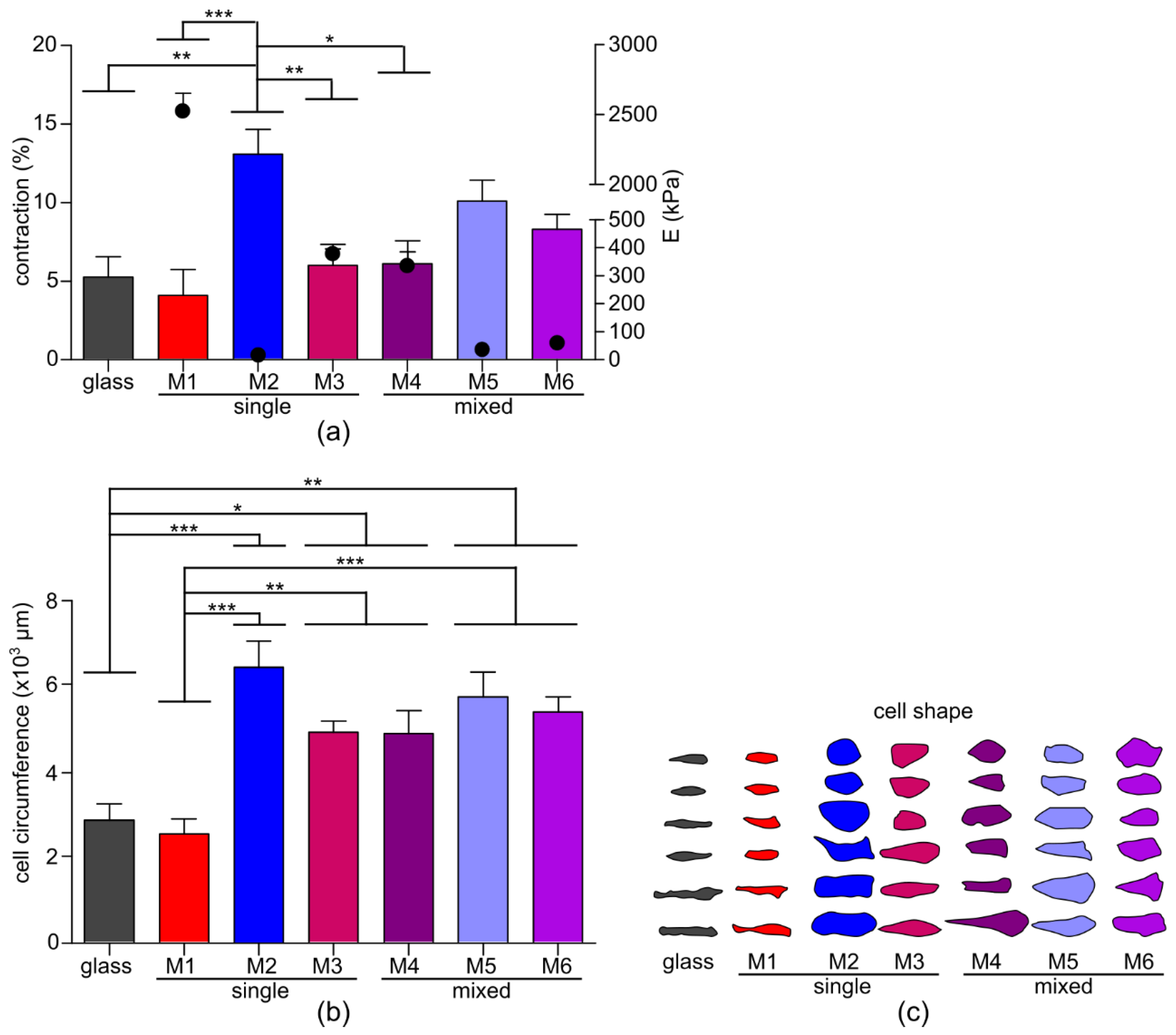 Membranes 10 00274 g004