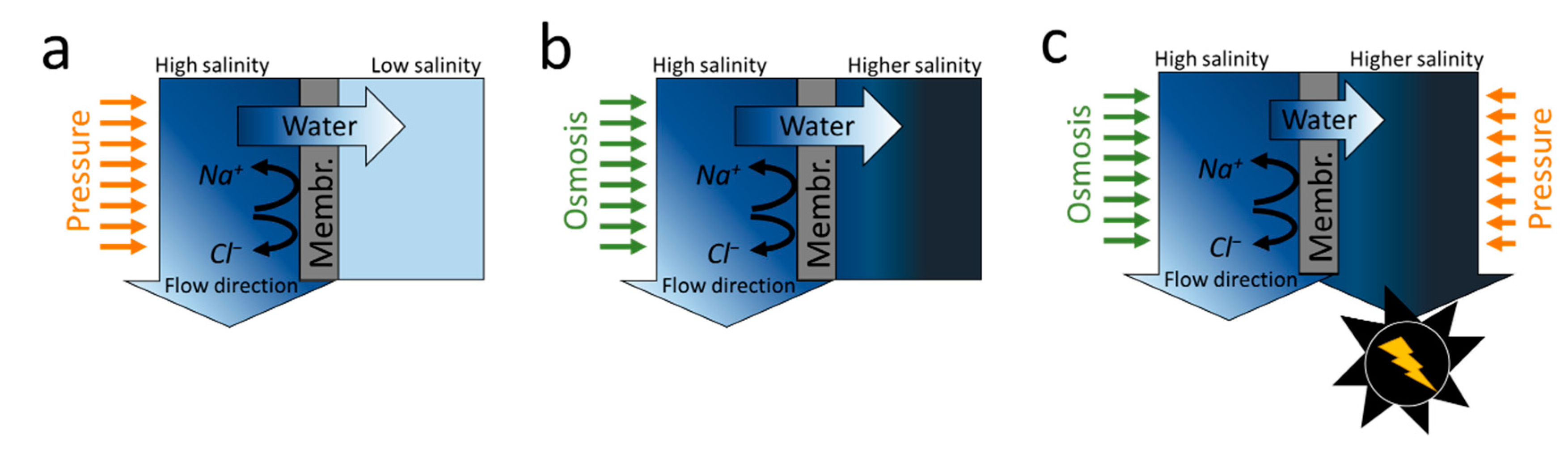 Membranes 10 00280 g001 Membranes 10 00280 g001