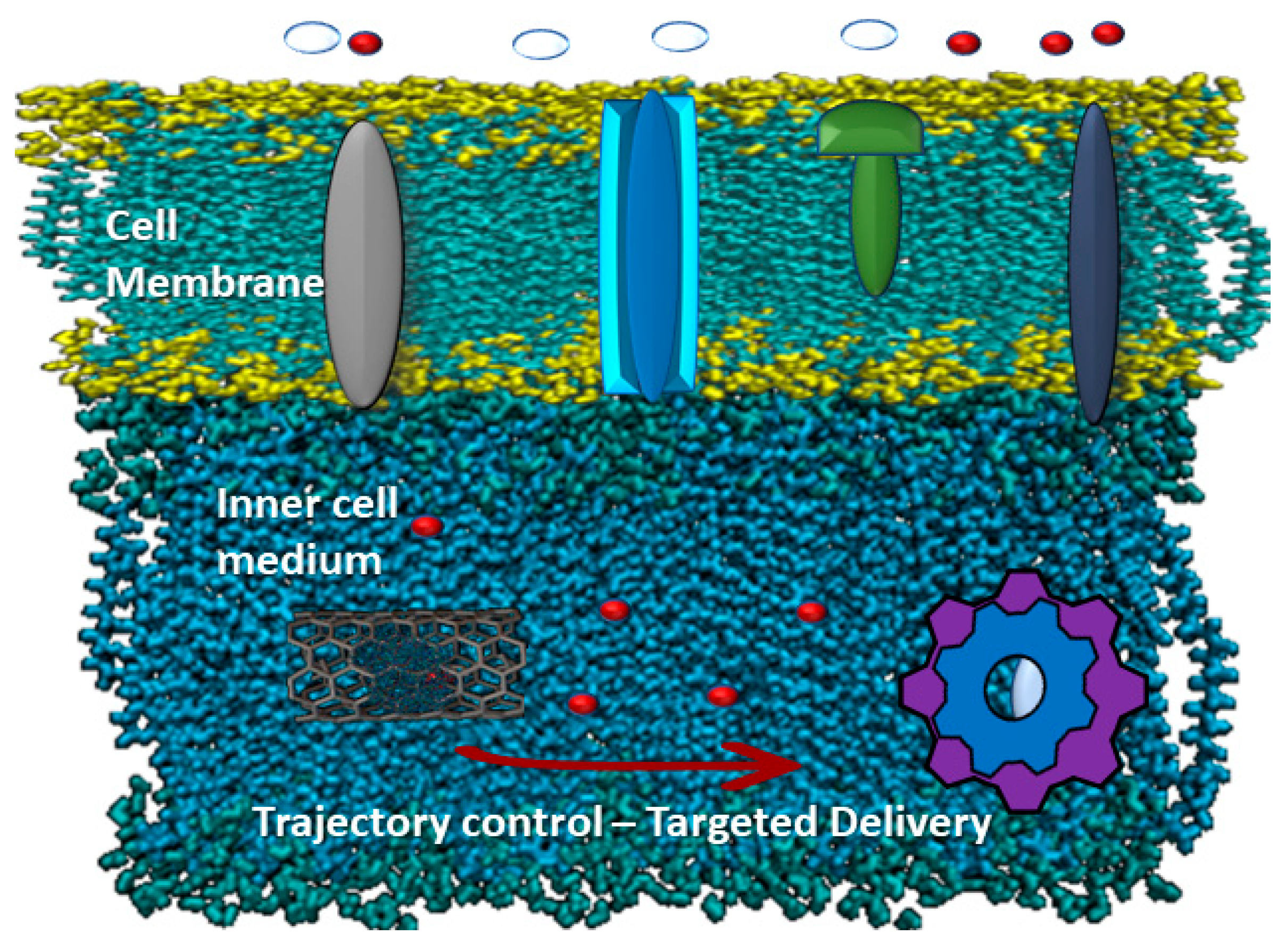 Membranes 10 00283 g002