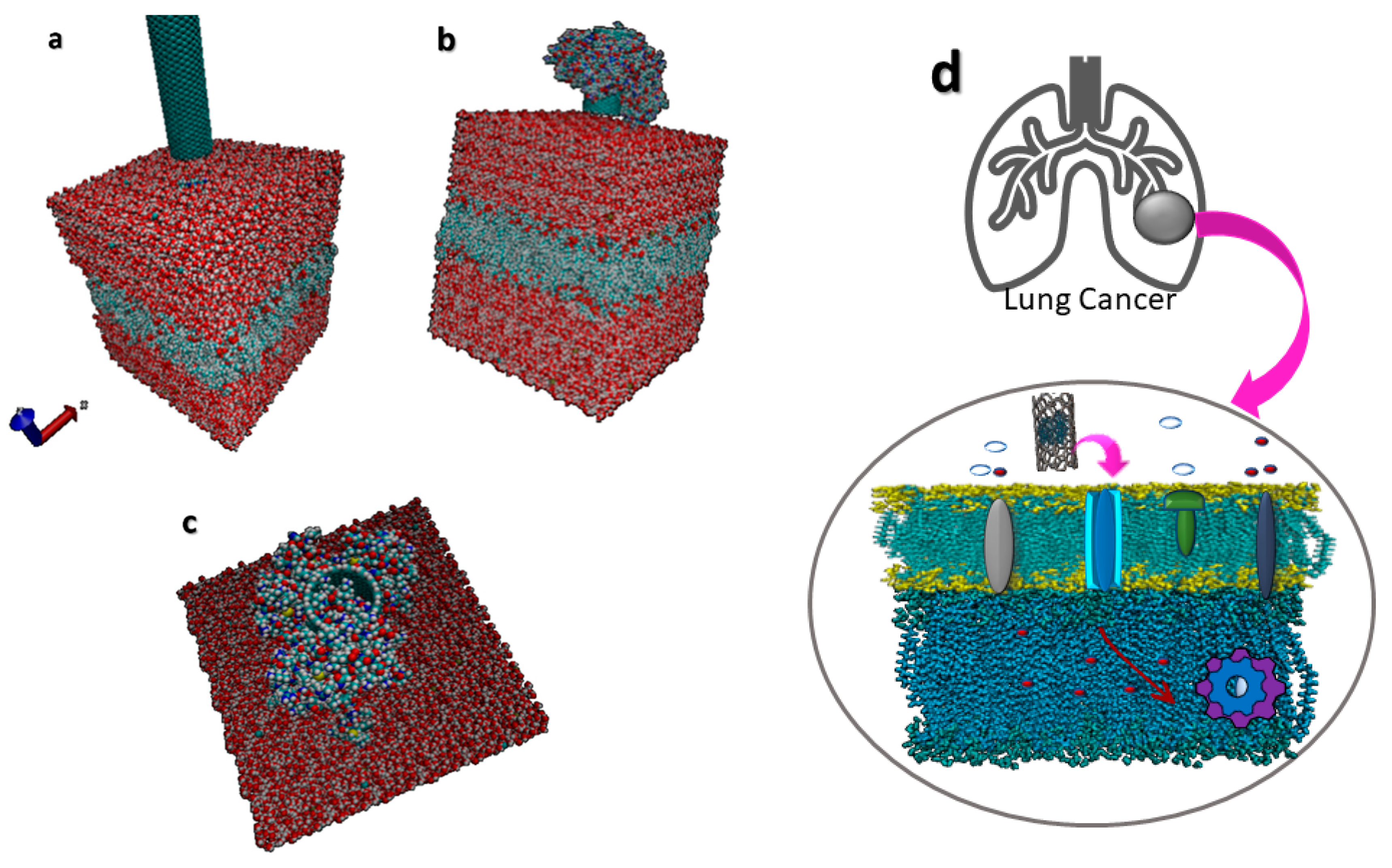Membranes 10 00283 g005
