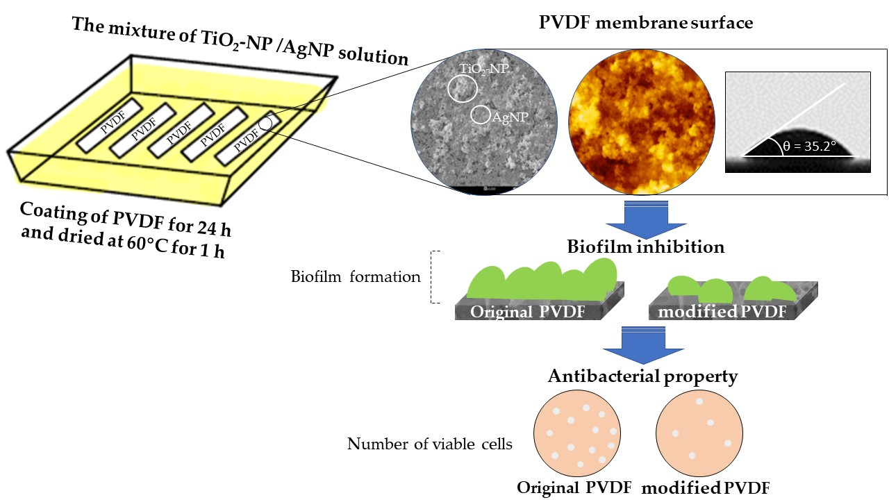 Membranes Free FullText Enhancing the Antibacterial Properties of
