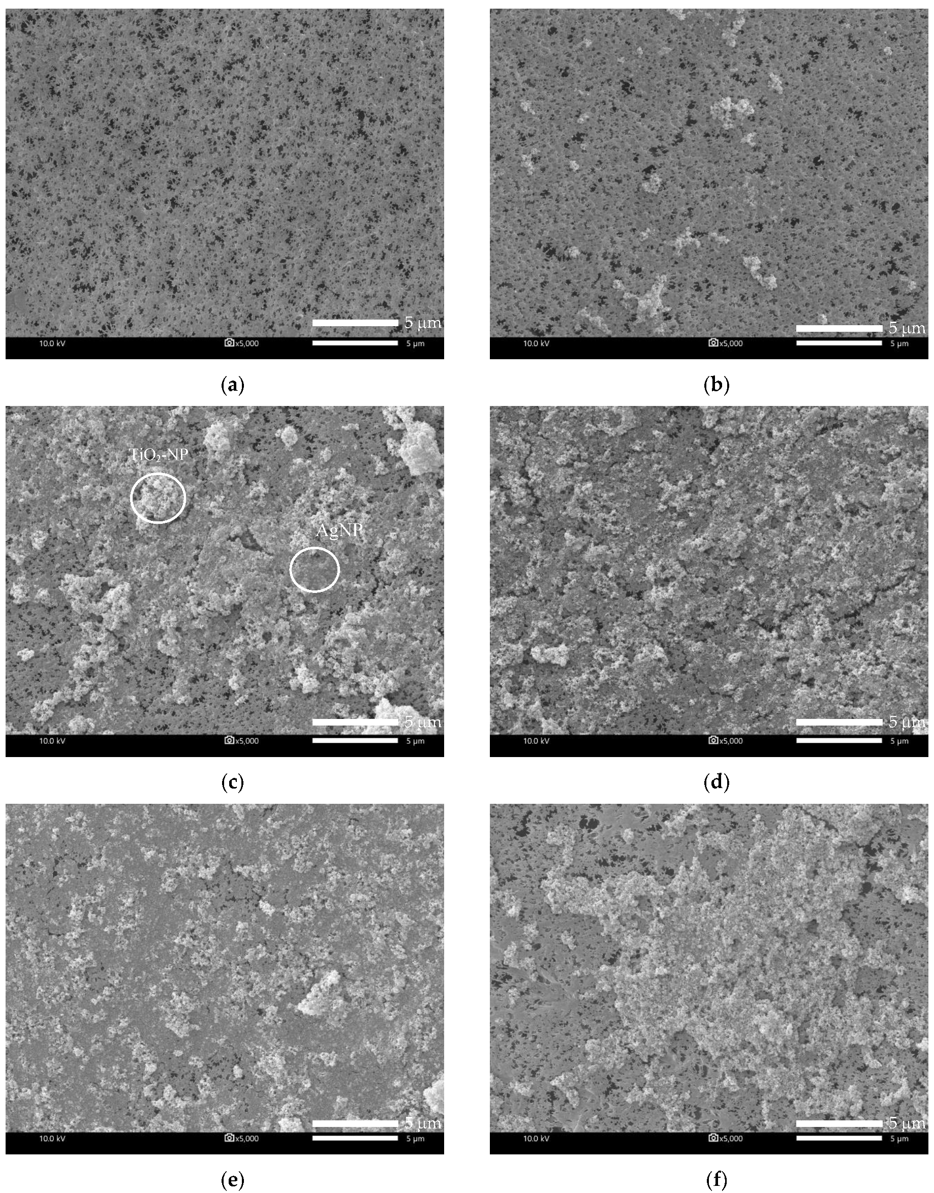 Membranes 10 00289 g003 Membranes 10 00289 g003