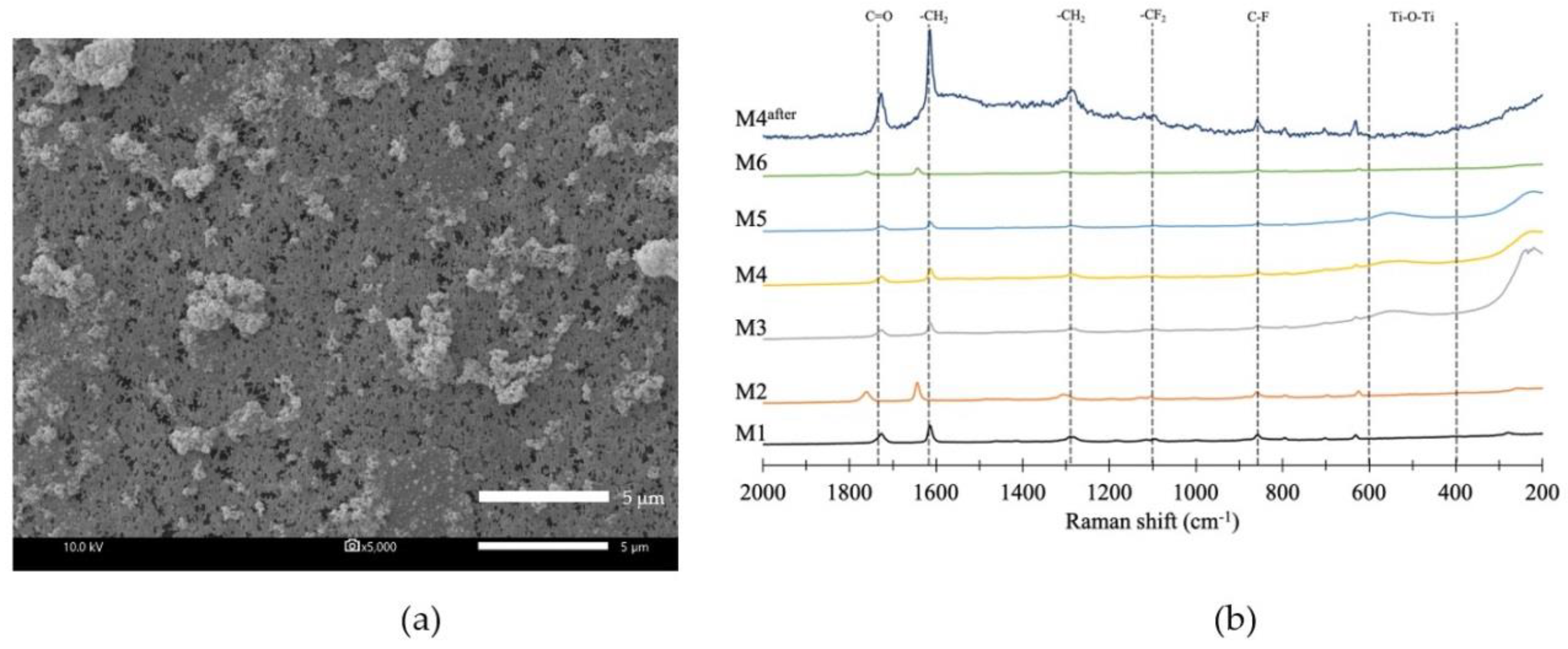 Membranes 10 00289 g007 Membranes 10 00289 g007