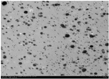 Membranes 10 00289 i002 Membranes 10 00289 i002