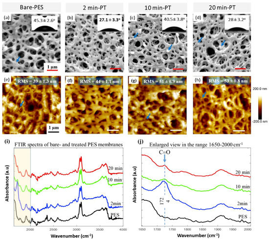 Membranes October 2020 Browse Articles