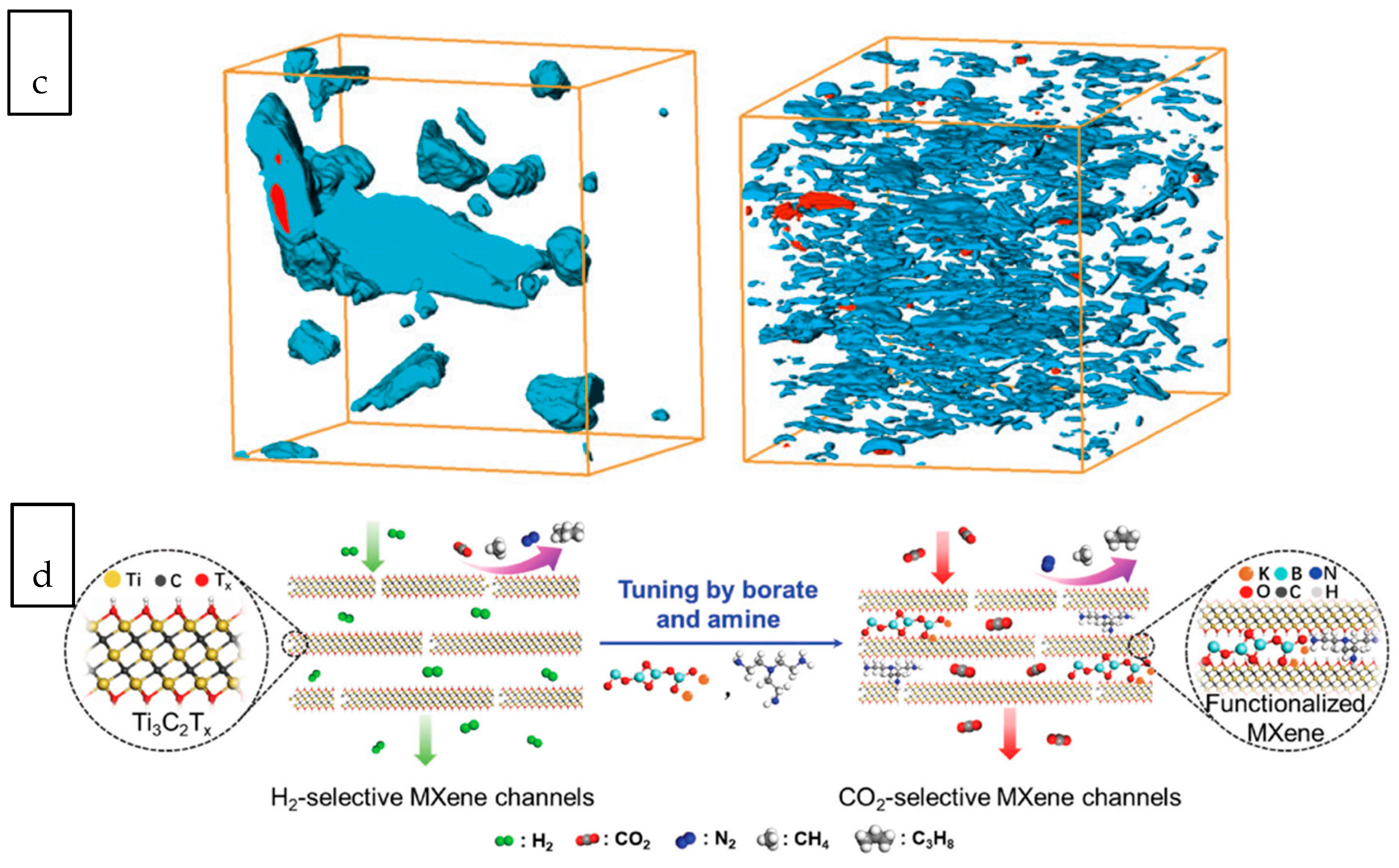 Membranes 10 00297 g003b