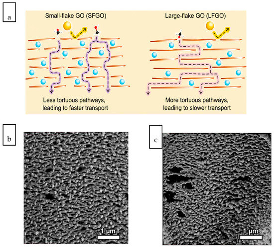 Membranes October 2020 Browse Articles