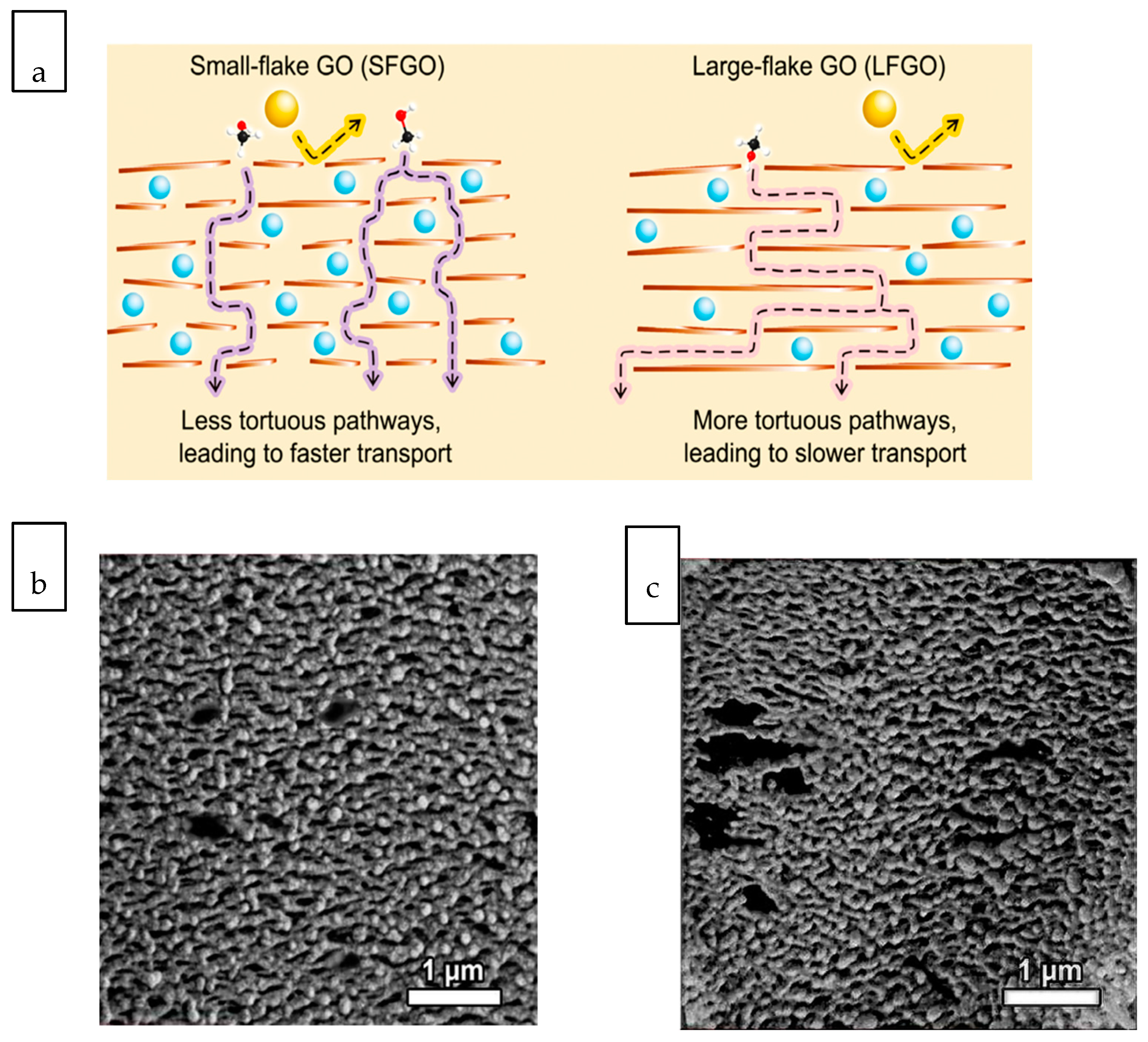 Membranes 10 00297 g004