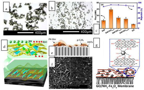 Membranes 10 00297 g005 550