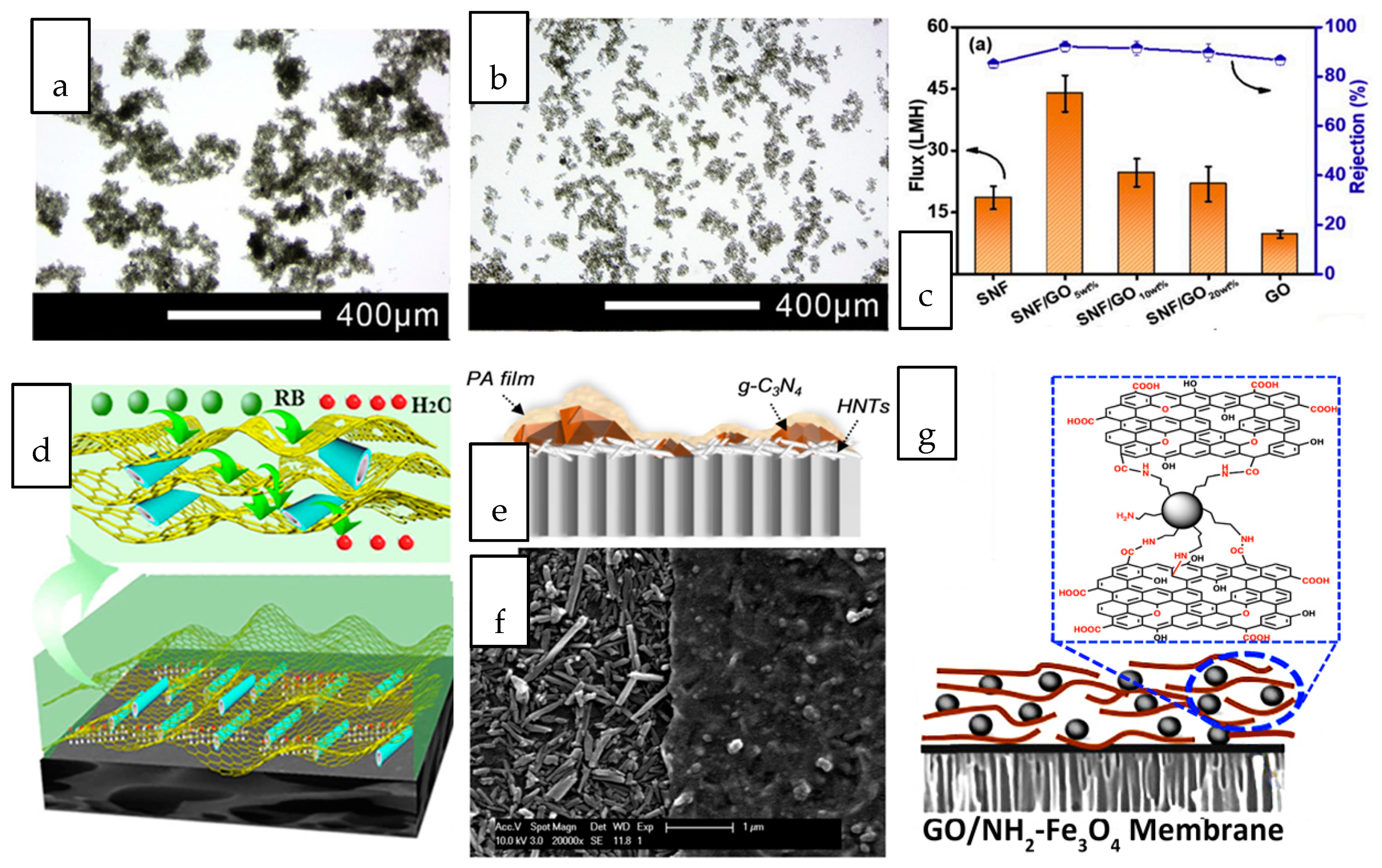 Membranes 10 00297 g005