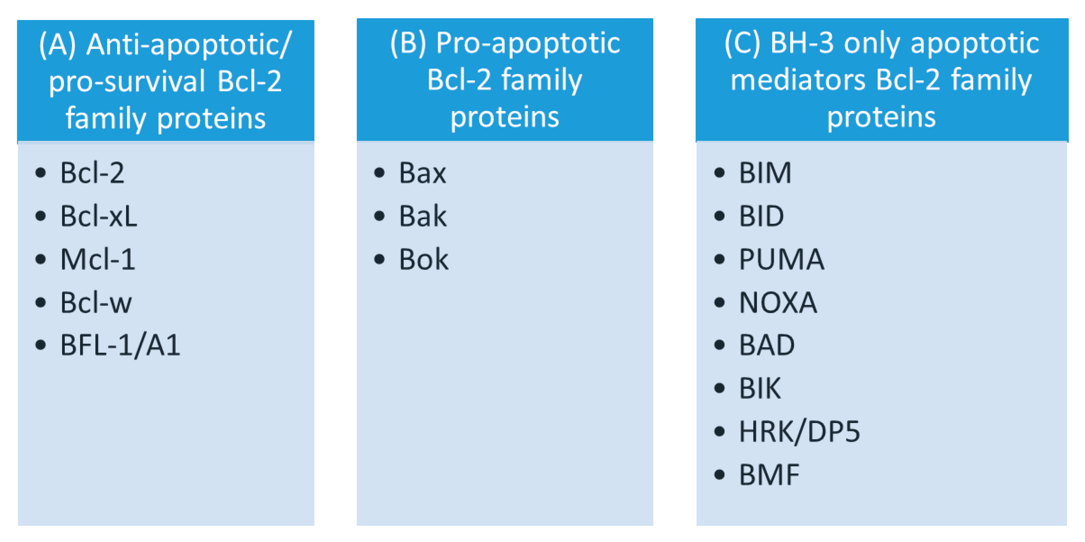 Membranes 10 00299 g002