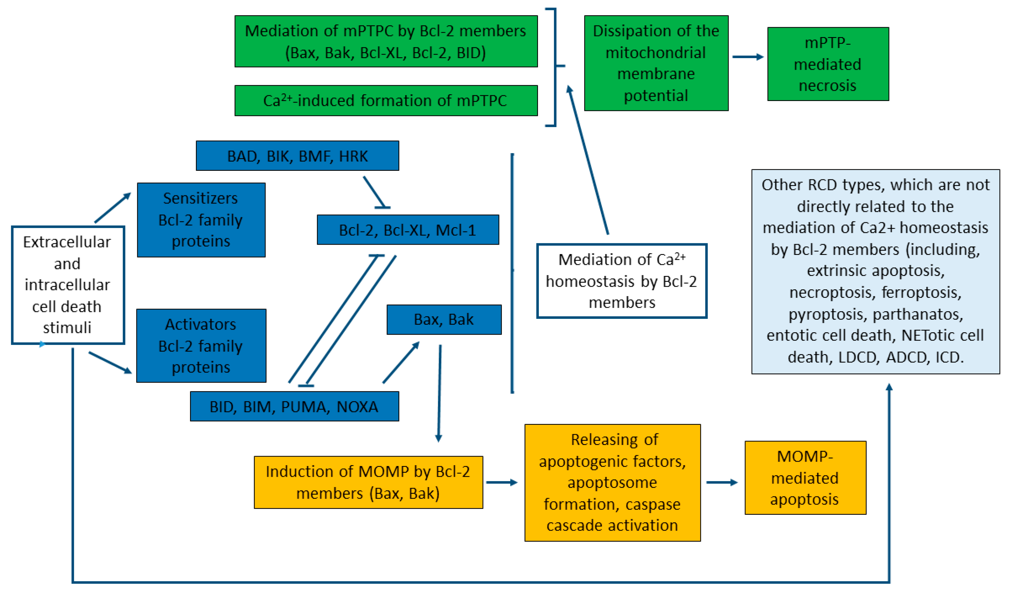 Membranes 10 00299 g003