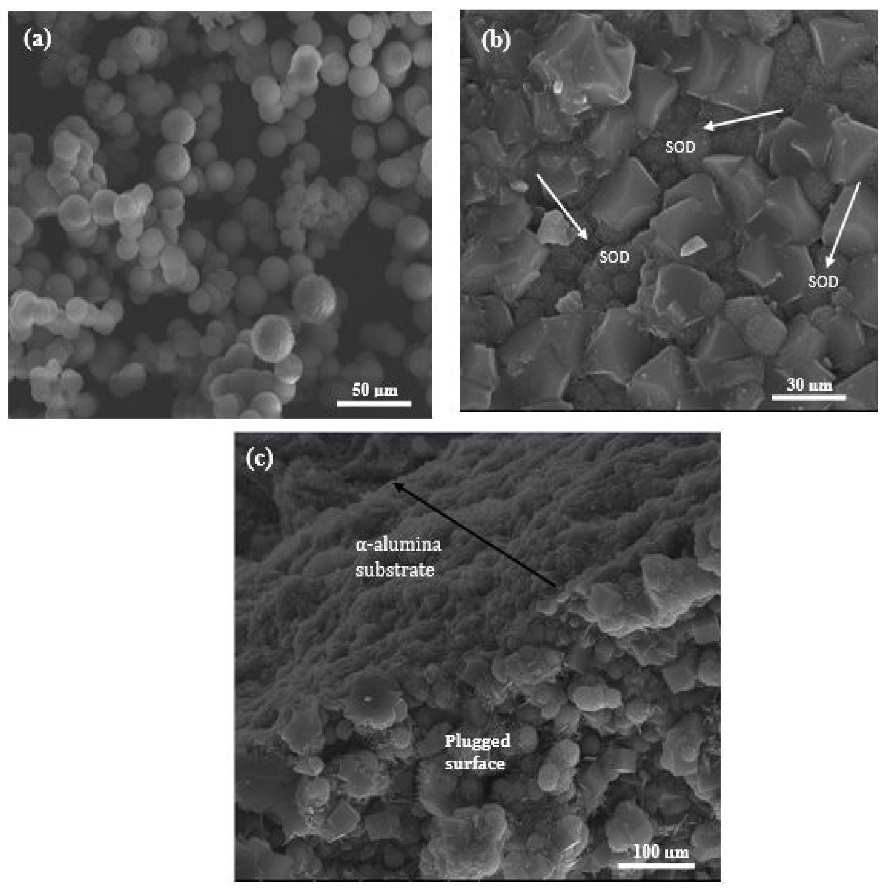 Membranes 10 00312 g005 Membranes 10 00312 g005