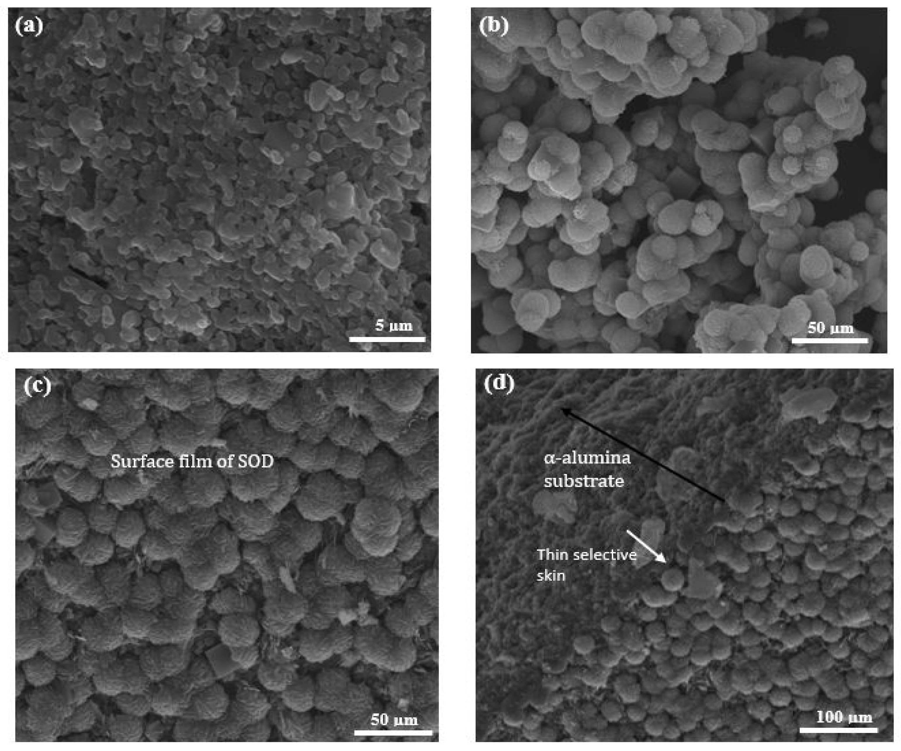 Membranes 10 00312 g006 Membranes 10 00312 g006