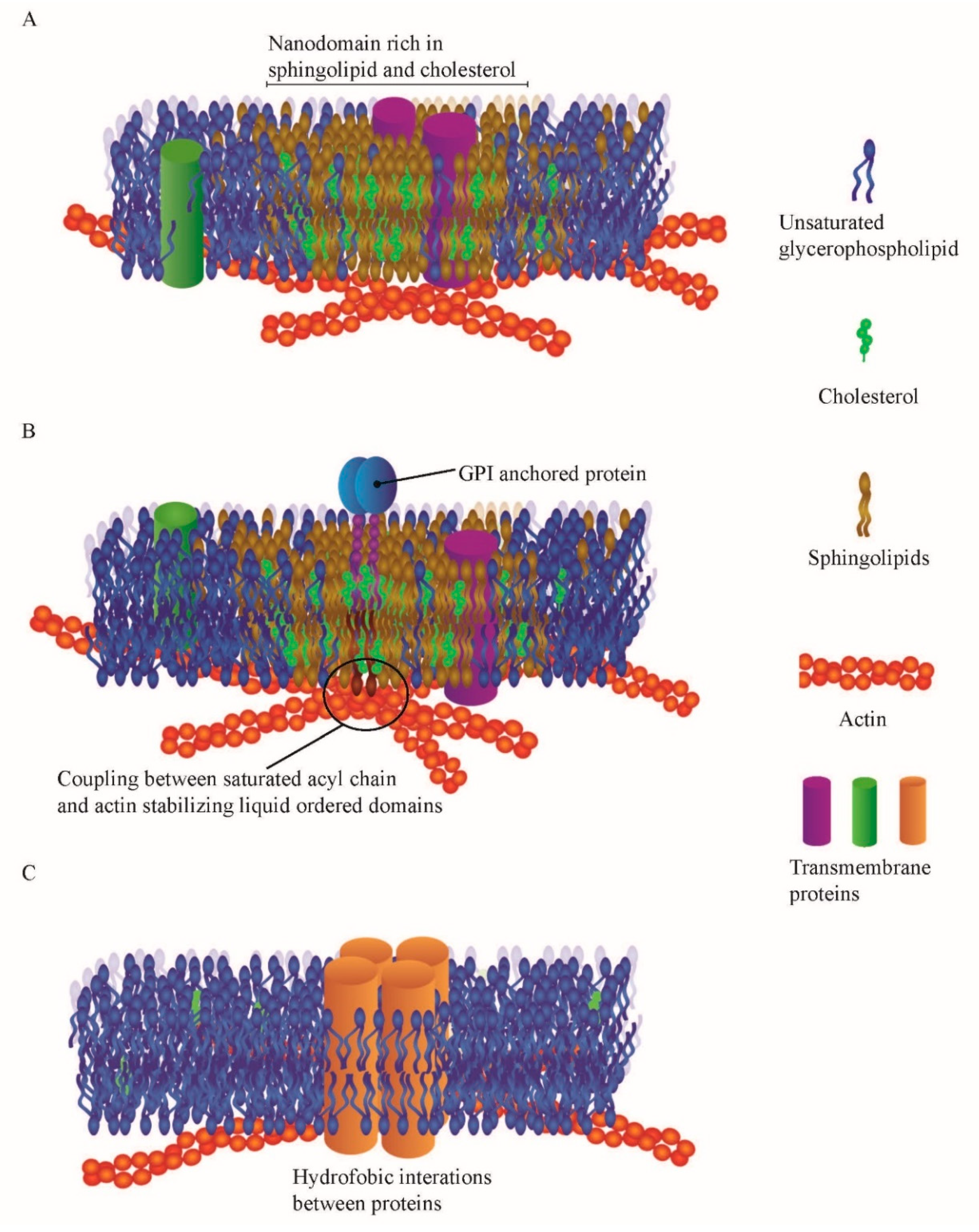 Membranes 10 00314 g001 Membranes 10 00314 g001