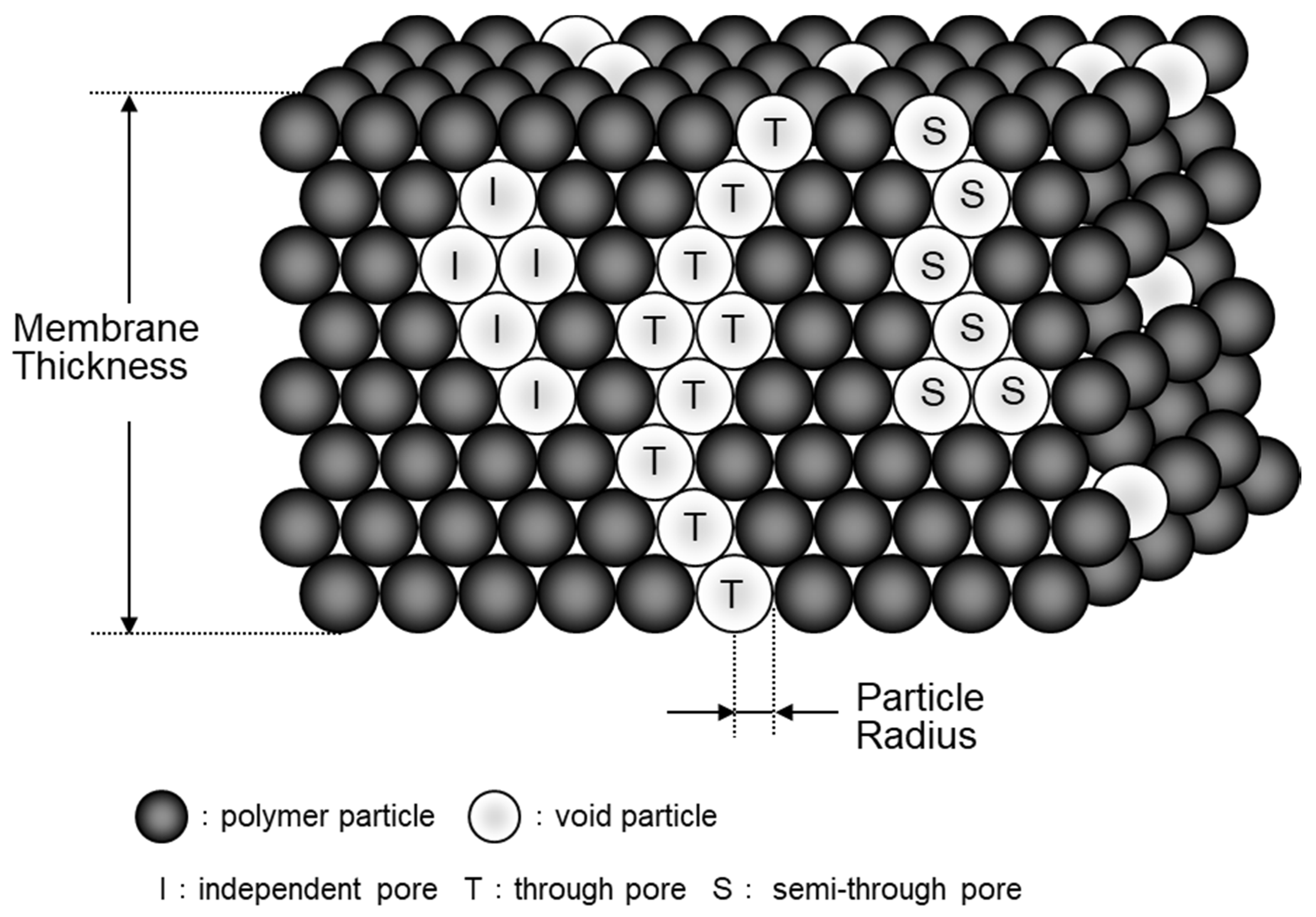 Membranes 10 00315 g001