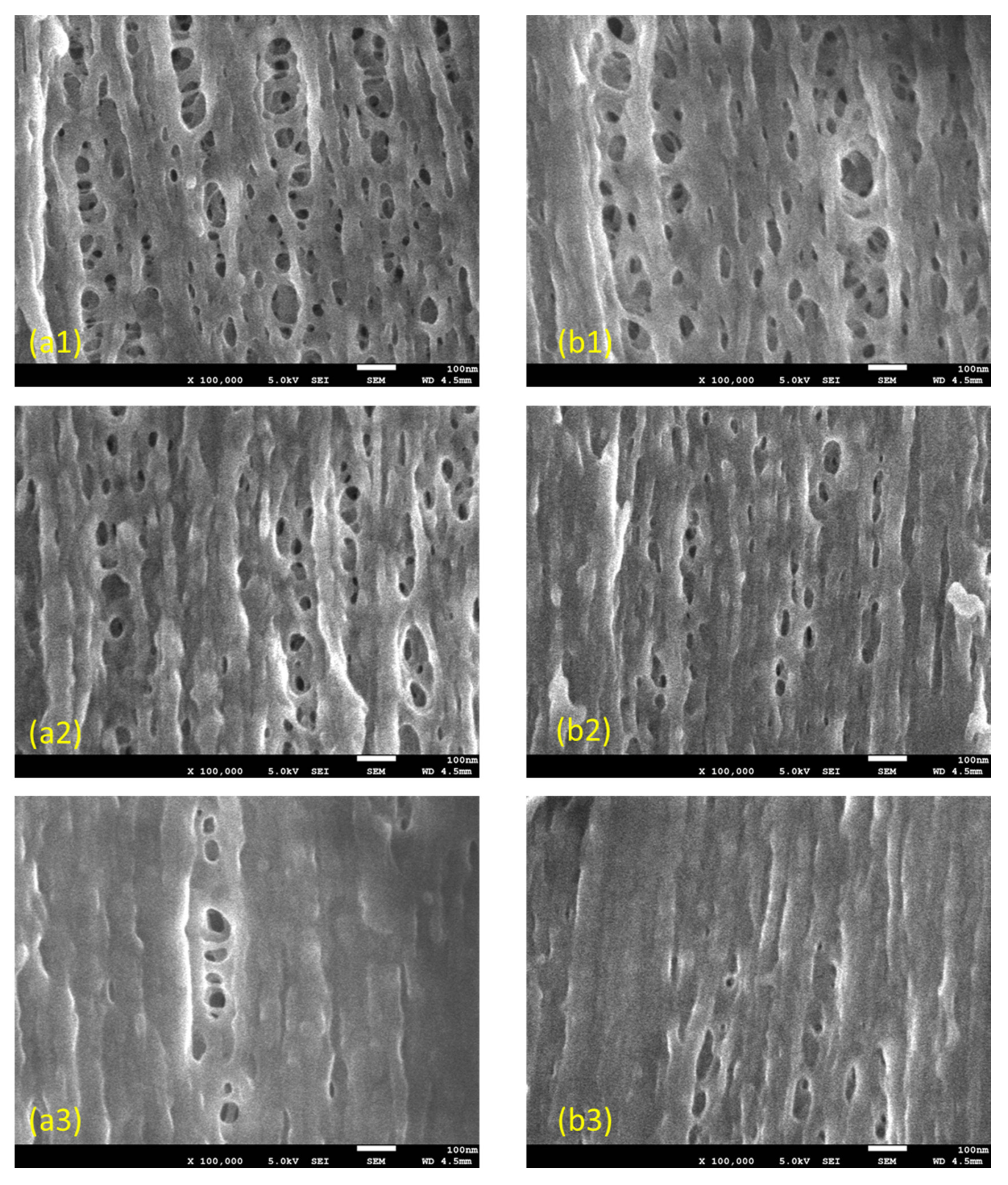 Membranes 10 00315 g005