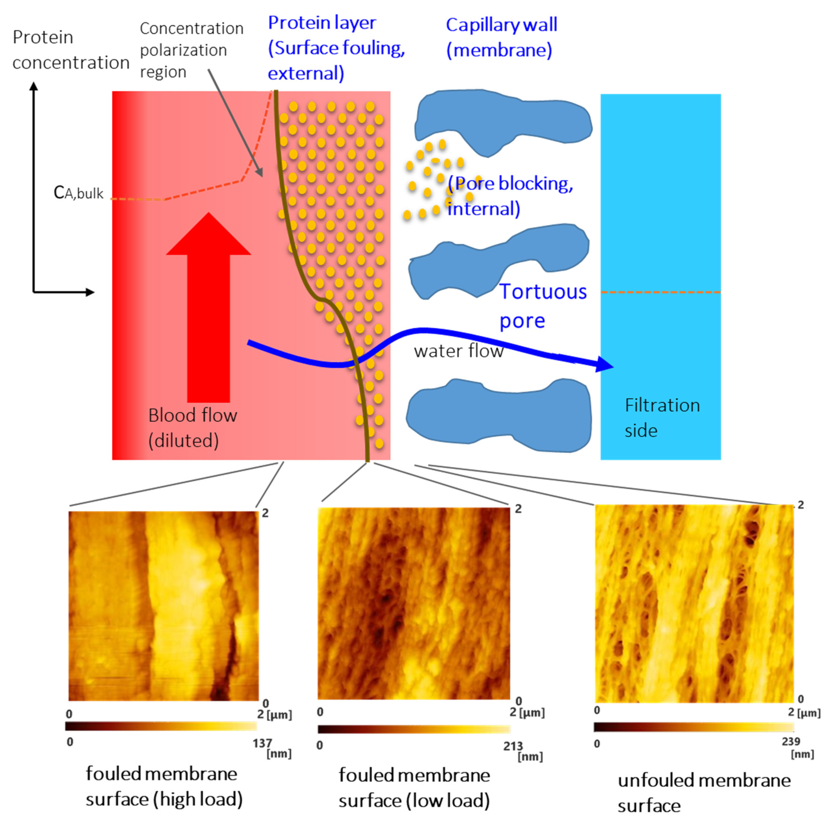 Membranes 10 00315 g006