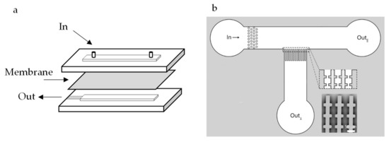 Membranes 10 00316 g001 550