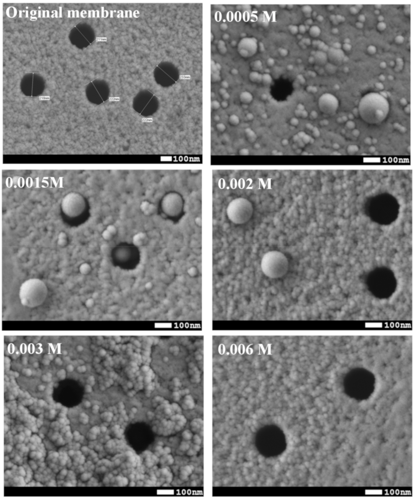 Membranes 10 00322 g003 Membranes 10 00322 g003