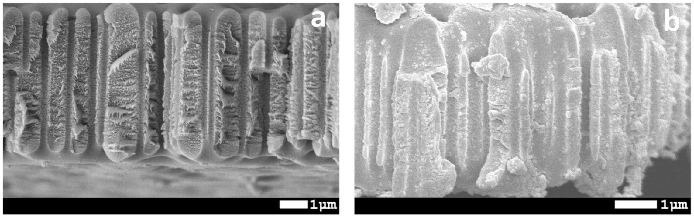 Membranes 10 00322 g009 Membranes 10 00322 g009