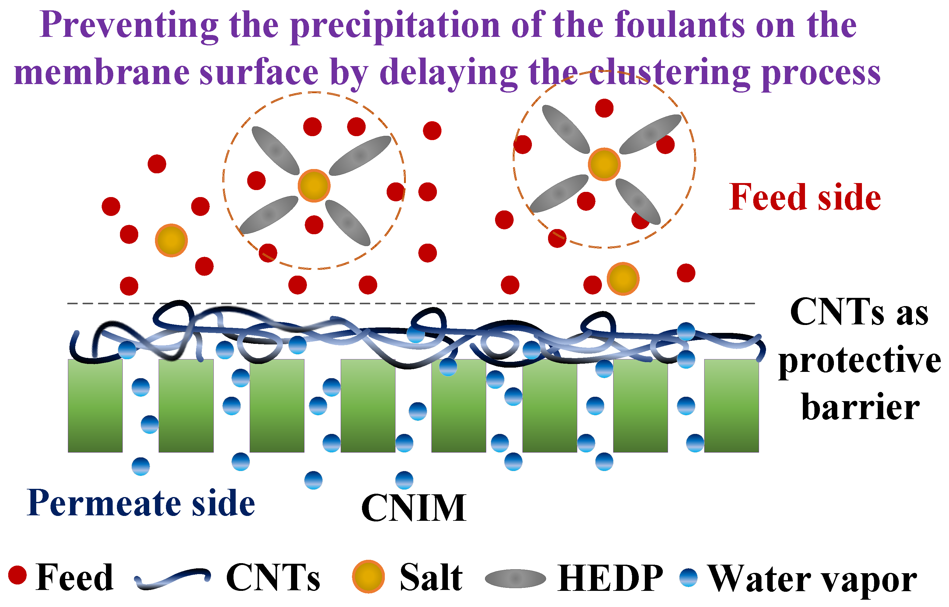 Membranes 10 00325 g008 Membranes 10 00325 g008