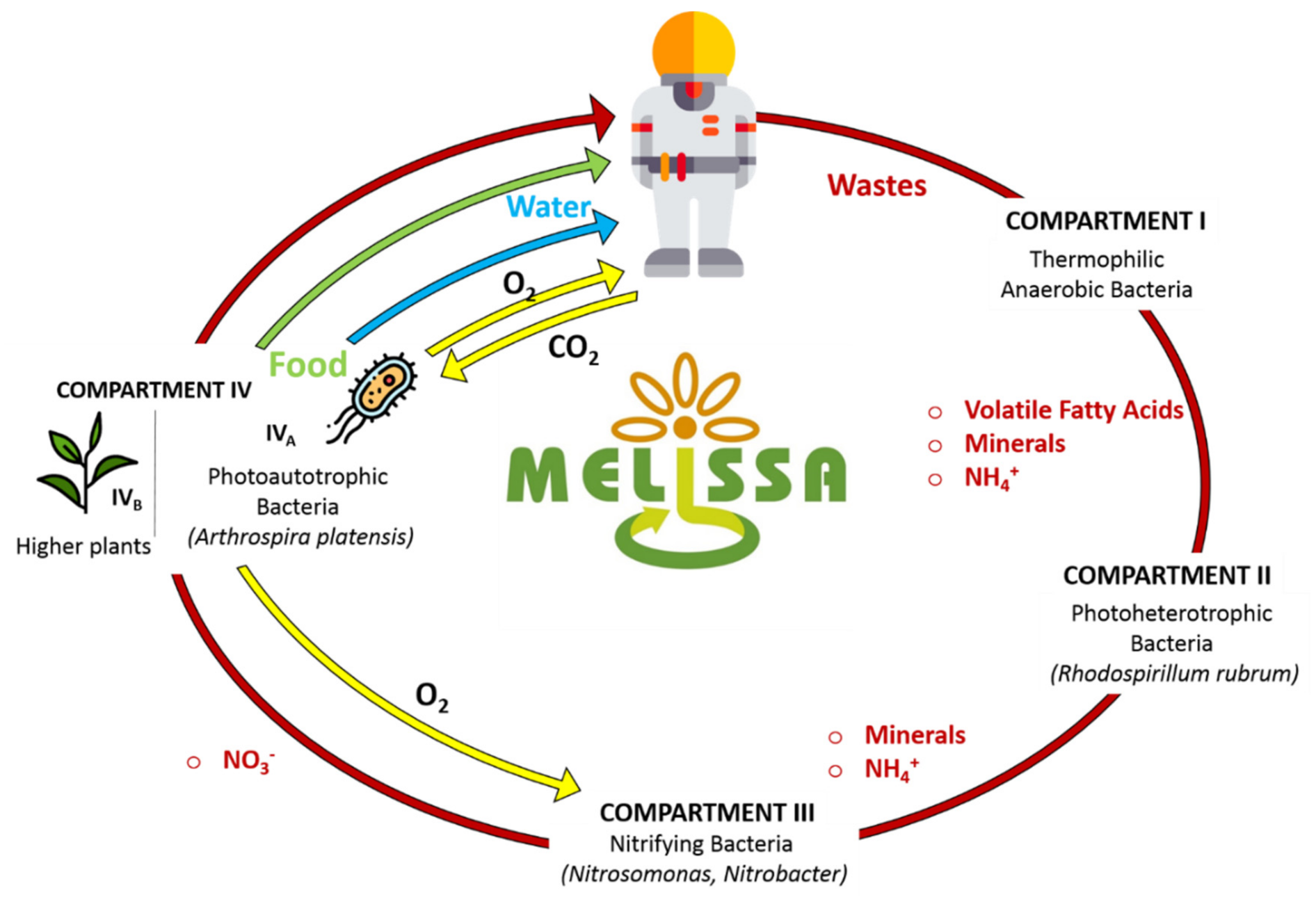 Membranes 10 00327 g004