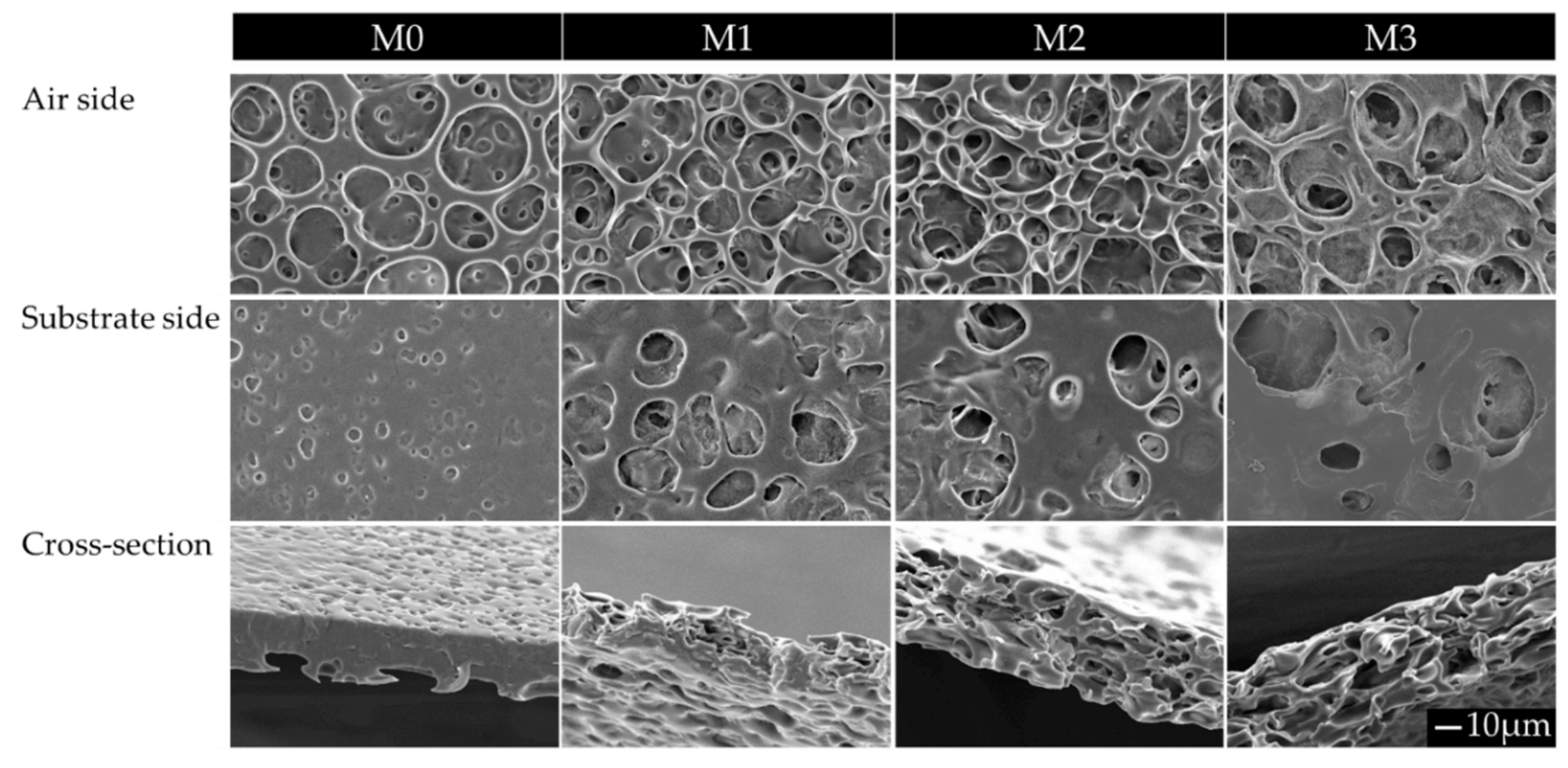 Membranes 10 00330 g002
