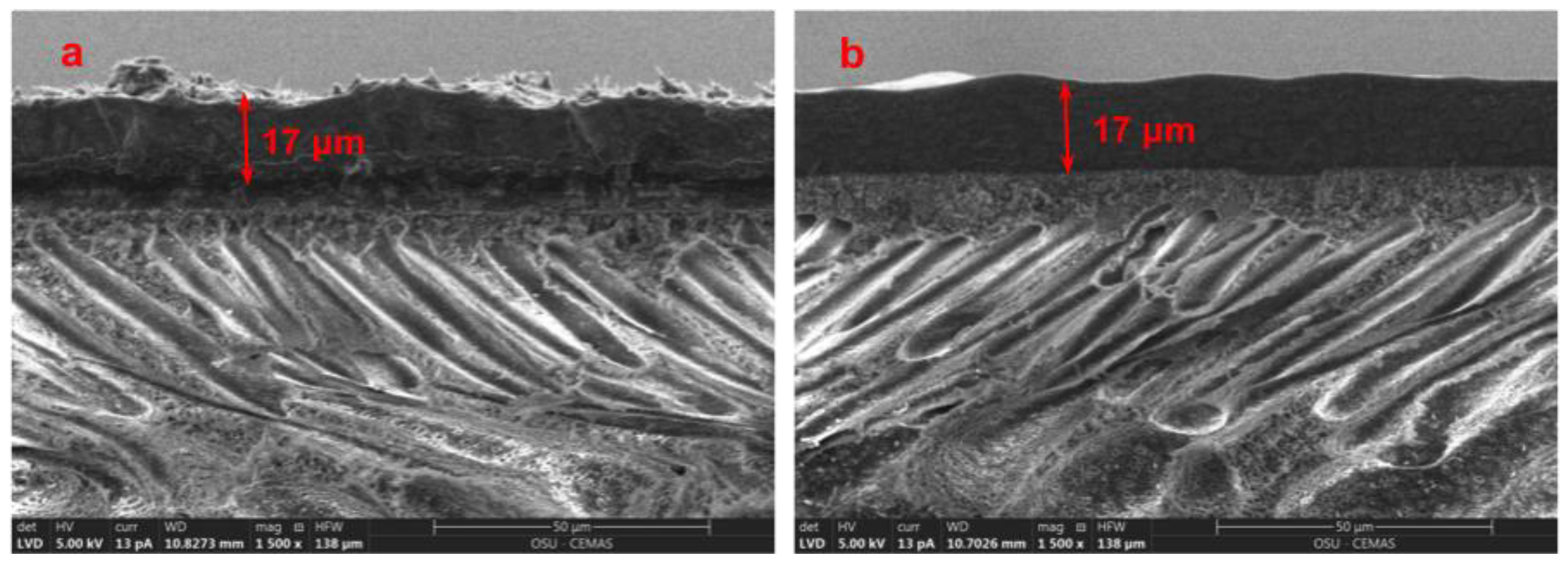Membranes 10 00333 g012