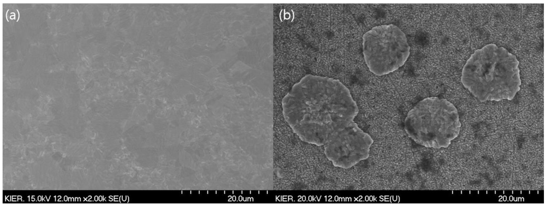 Membranes 10 00338 g008 Membranes 10 00338 g008