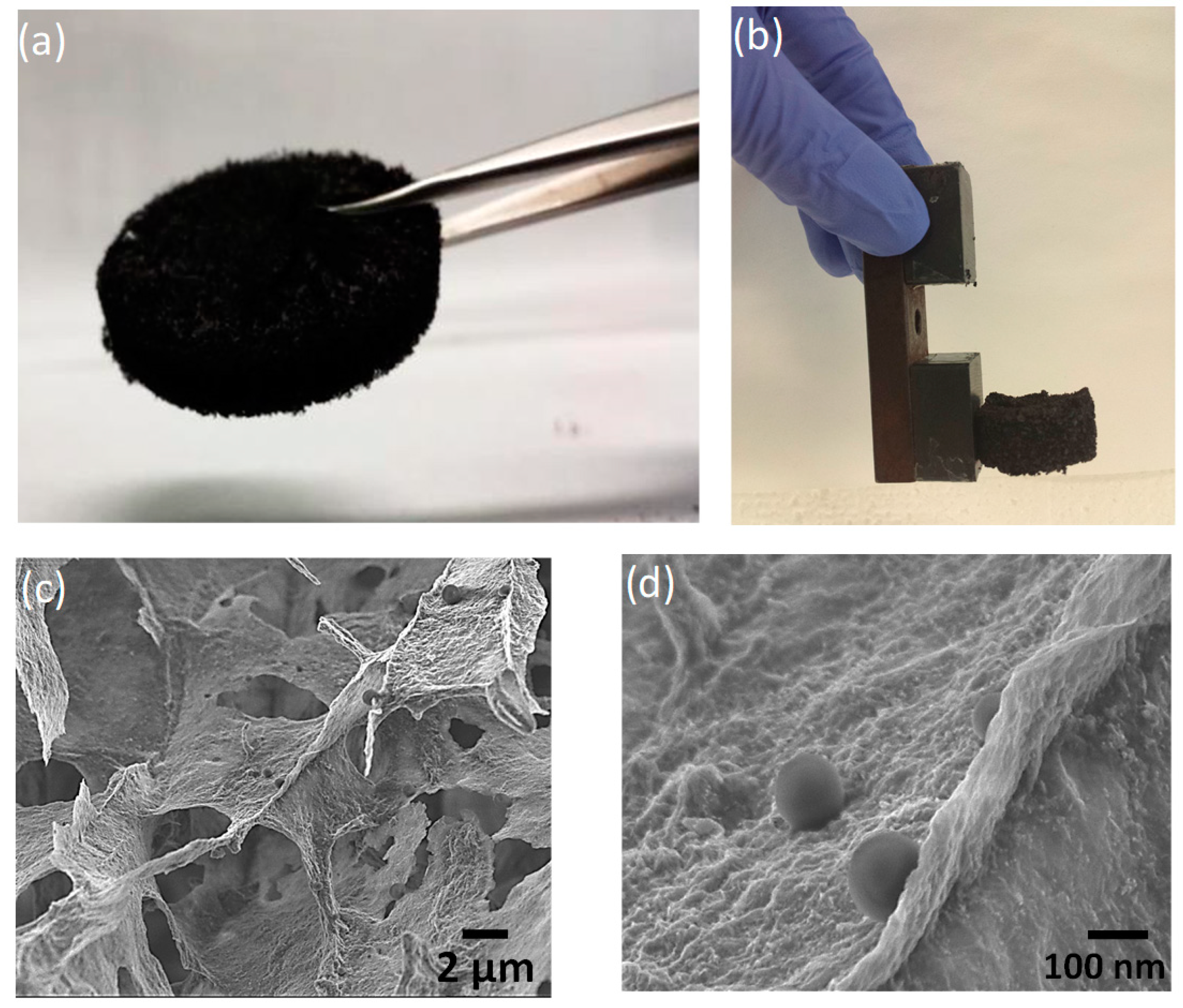Membranes 10 00340 g001